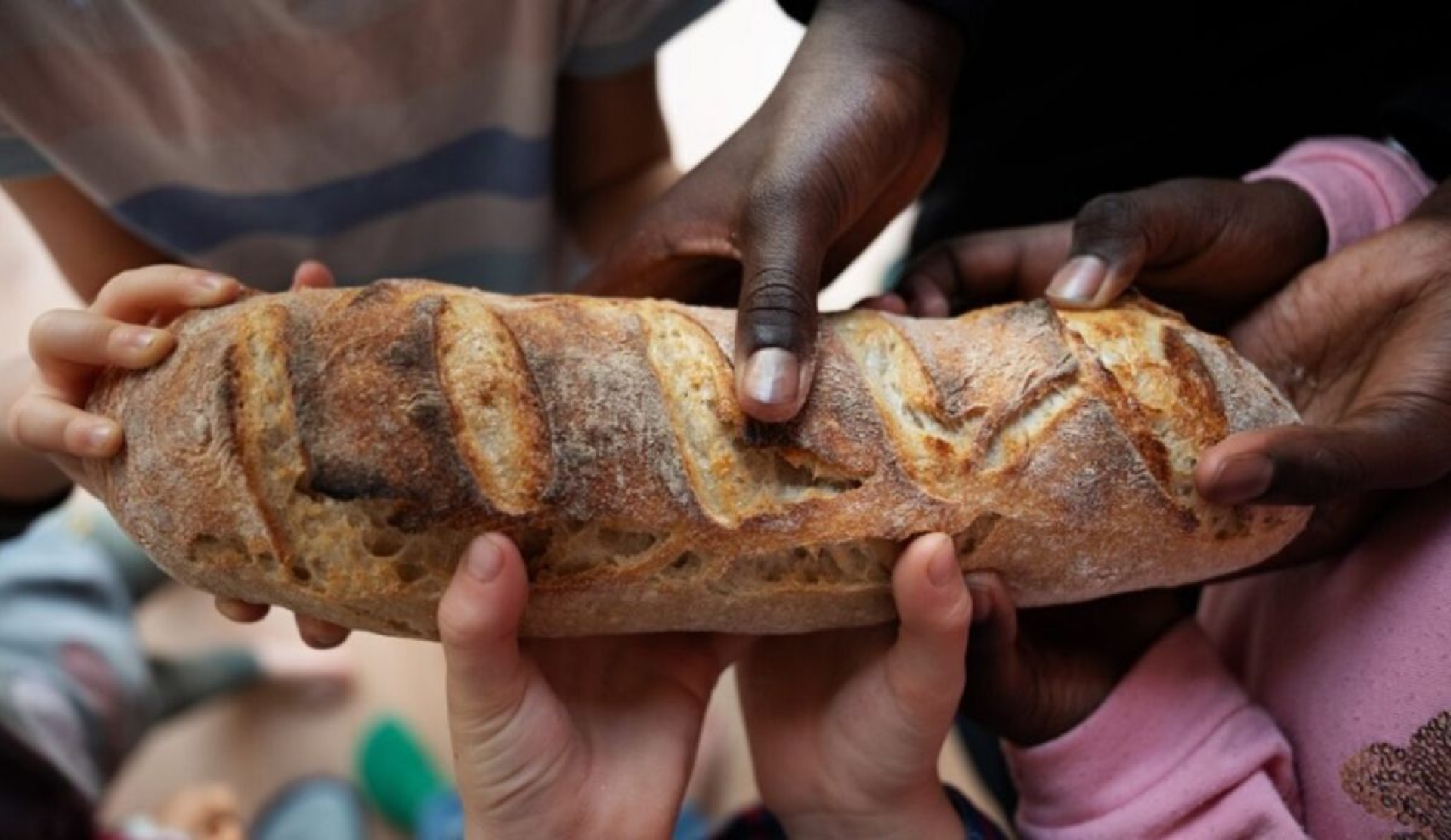 Día Mundial del Hambre: una llamada urgente a la acción global