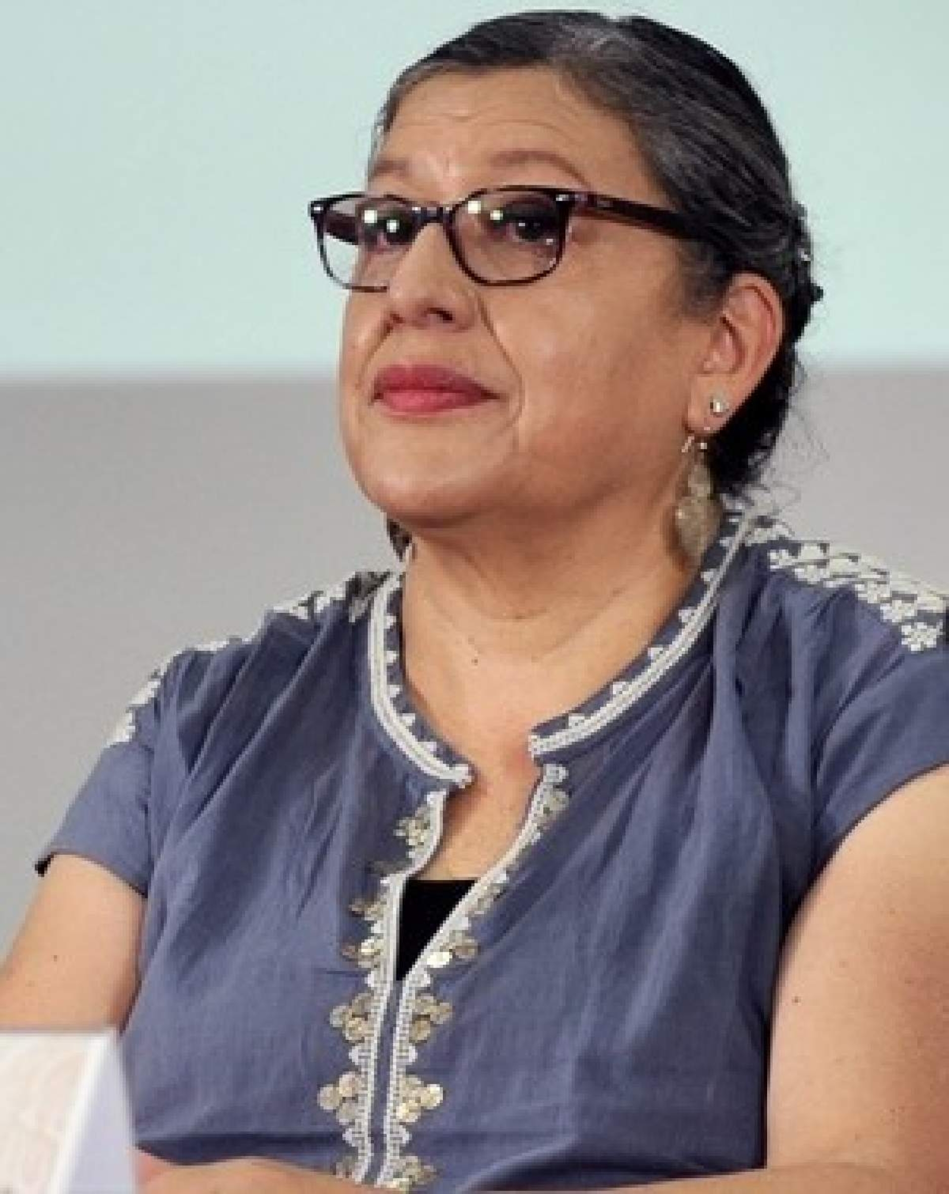 Renuncia titular de la Comisión Nacional de Búsqueda