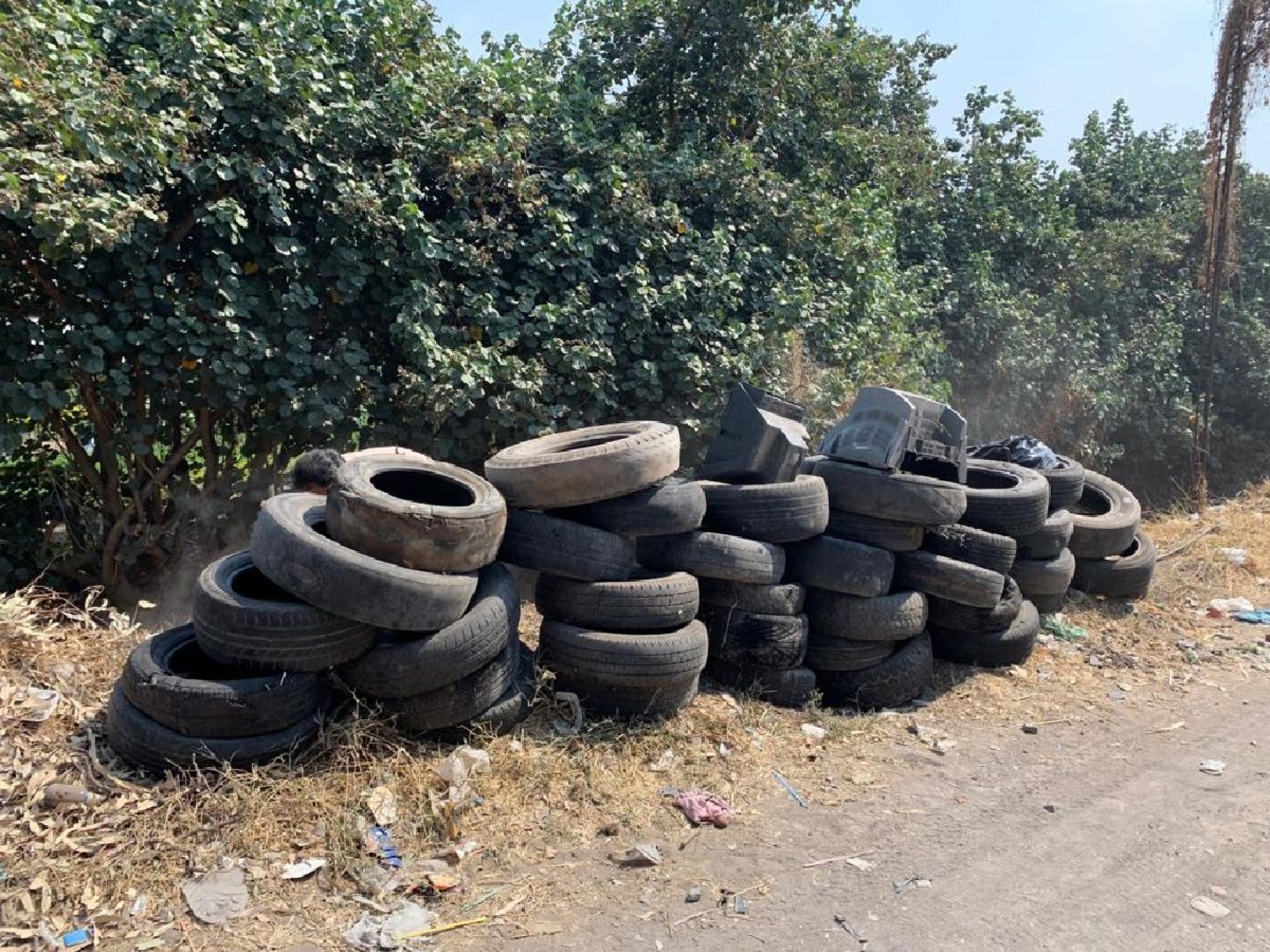 Proliferan moscos por resistencia de vecinos para erradicar criaderos