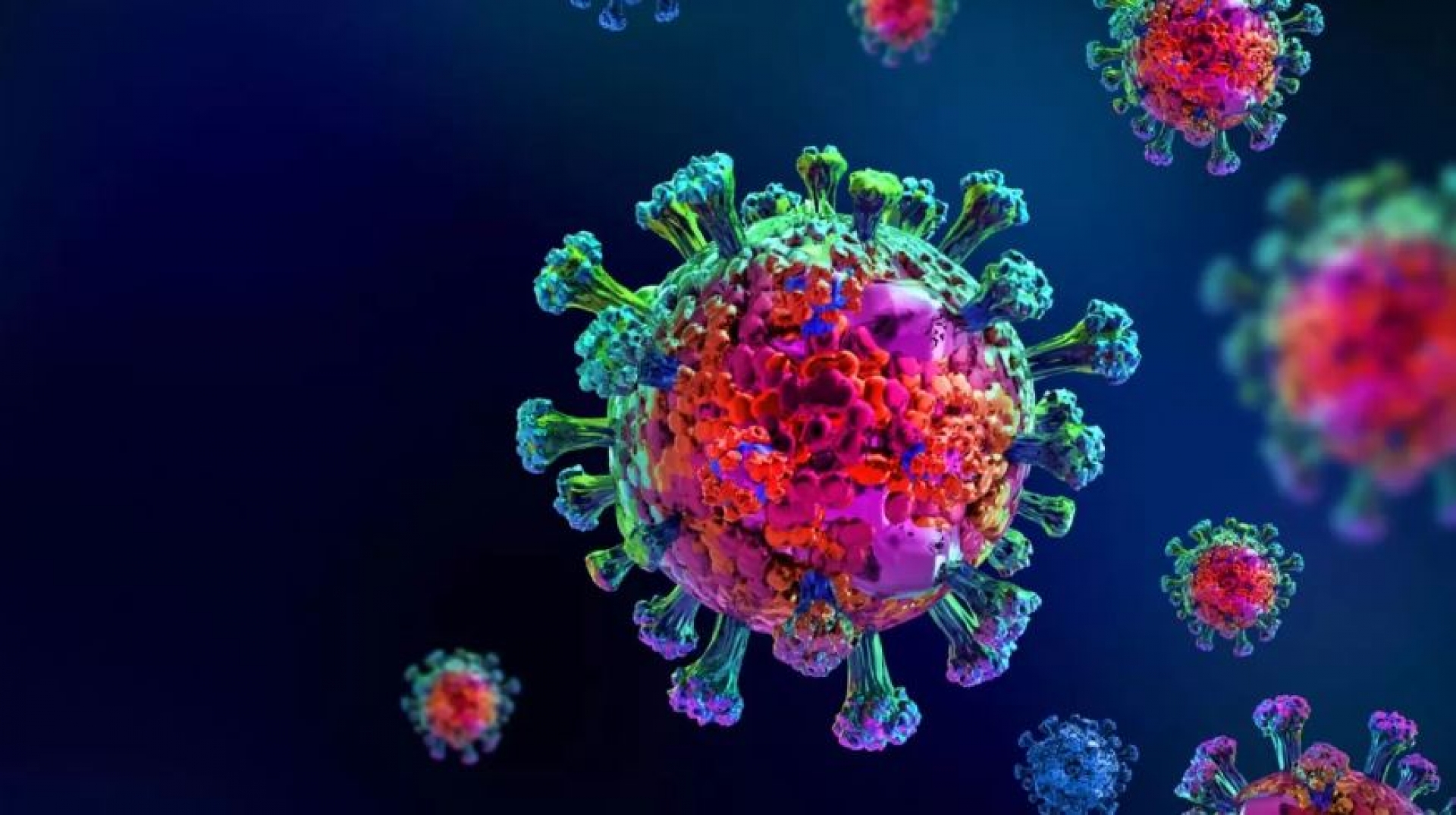 Equipo que lidera científica mexicana descubre cómo bloquear el virus que provoca el Covid-19
