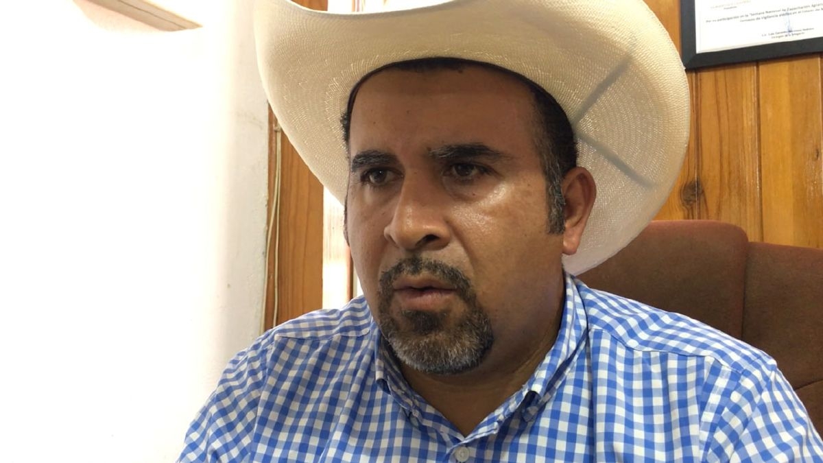 La caña de azúcar, uno de los principales cultivos que sostienen la economía regional