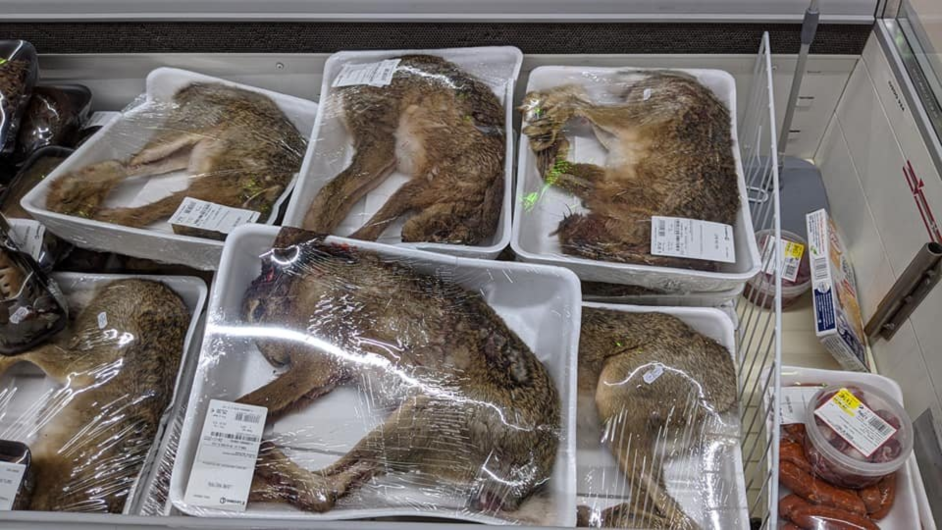 Supermercado vende animales enteros al alto vacío