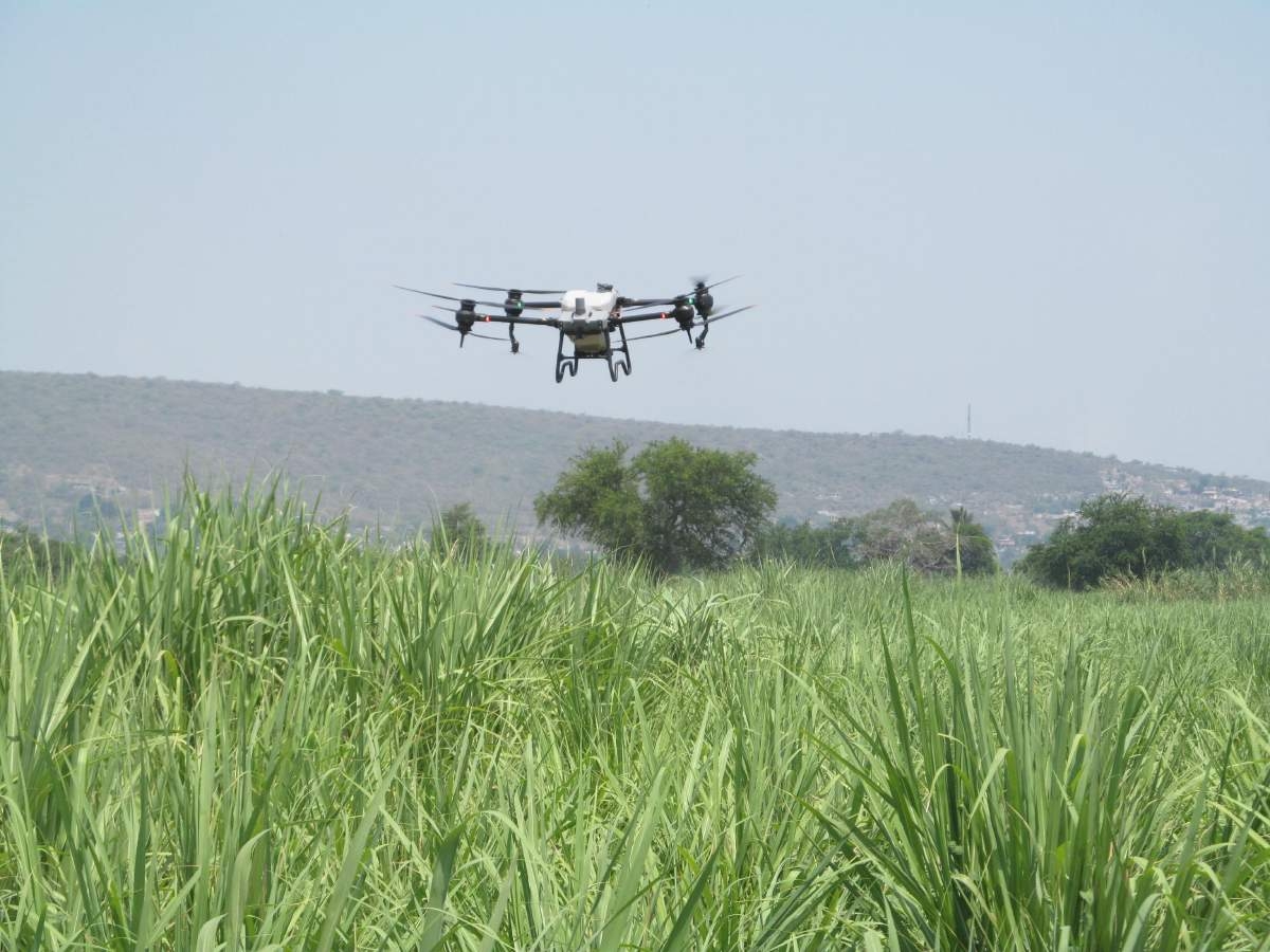 Utilizarán dron agrícola para fertilizar y fumigar cultivos en Jojutla