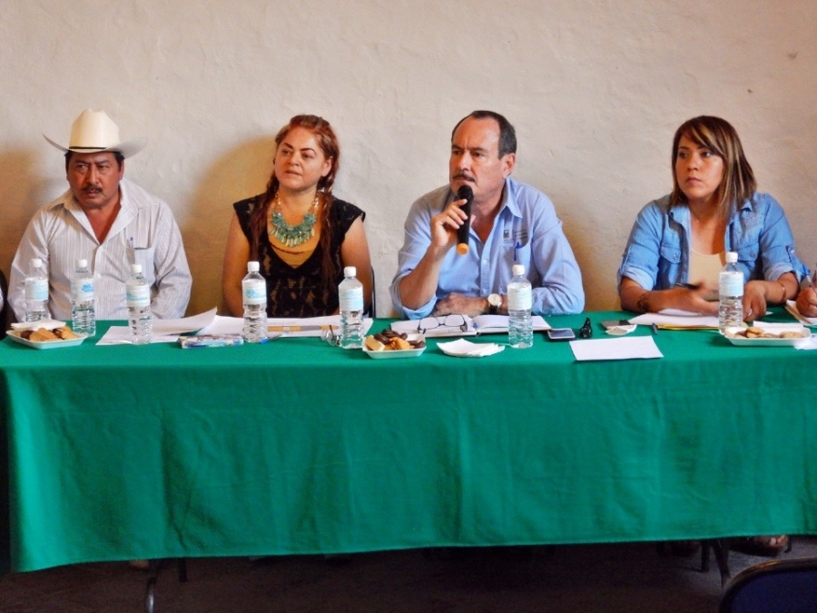 También el transporte en municipios tendrá nueva cromática