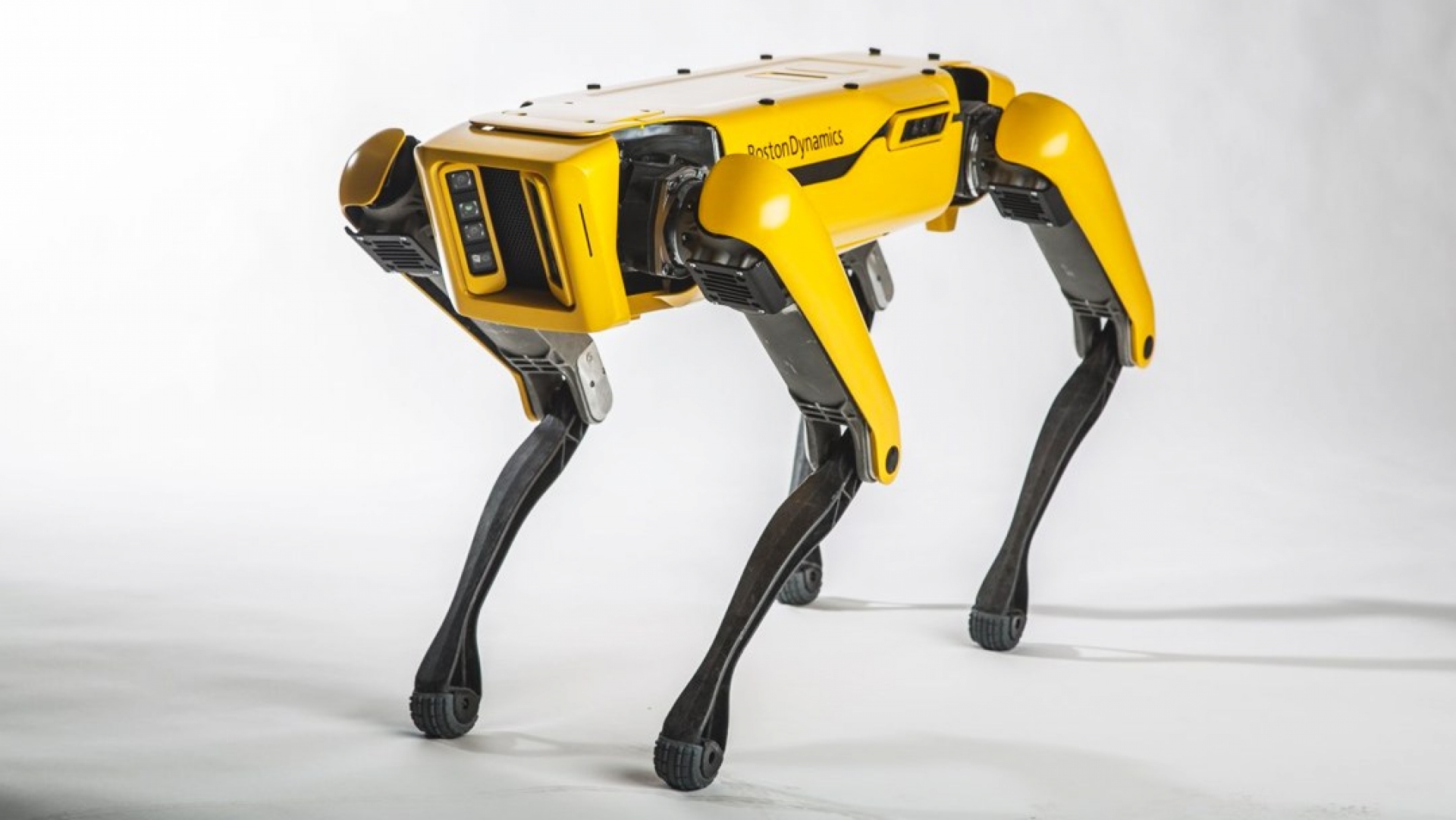 ¡Ya está pasando! Los perros robot de Boston Dynamics ya están vigilante en Noruega