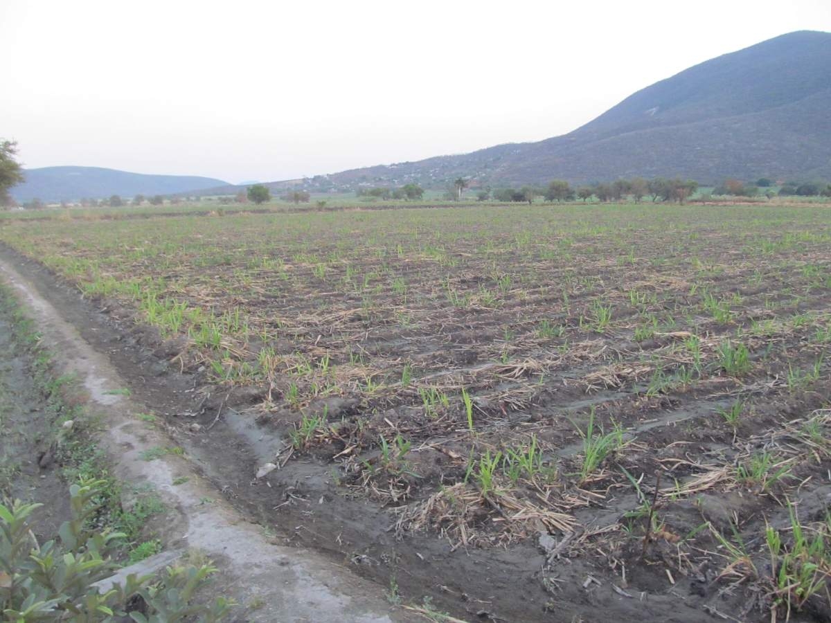 Repararán bardas colapsadas de 2017 en ejido de Jojutla
