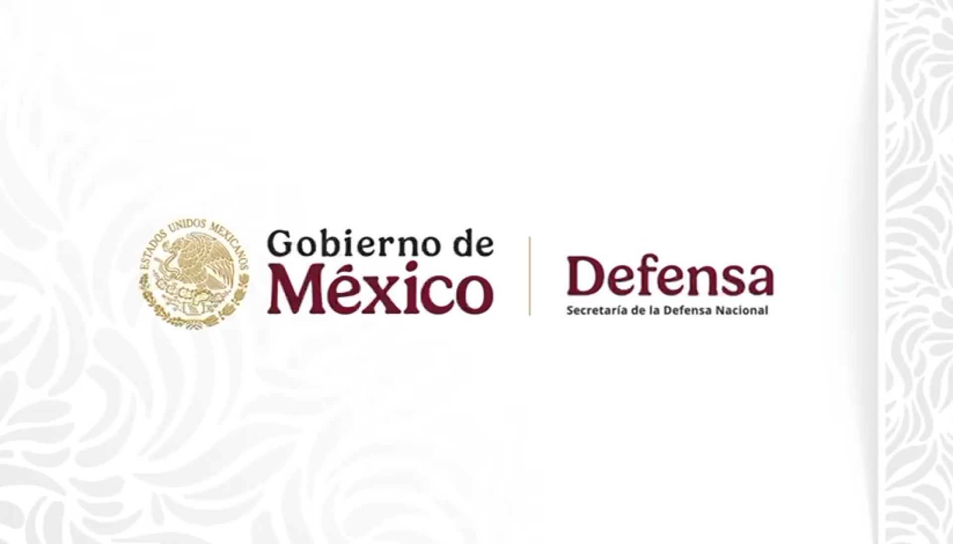 ¡Gracias héroes mexicanos!: Defensa