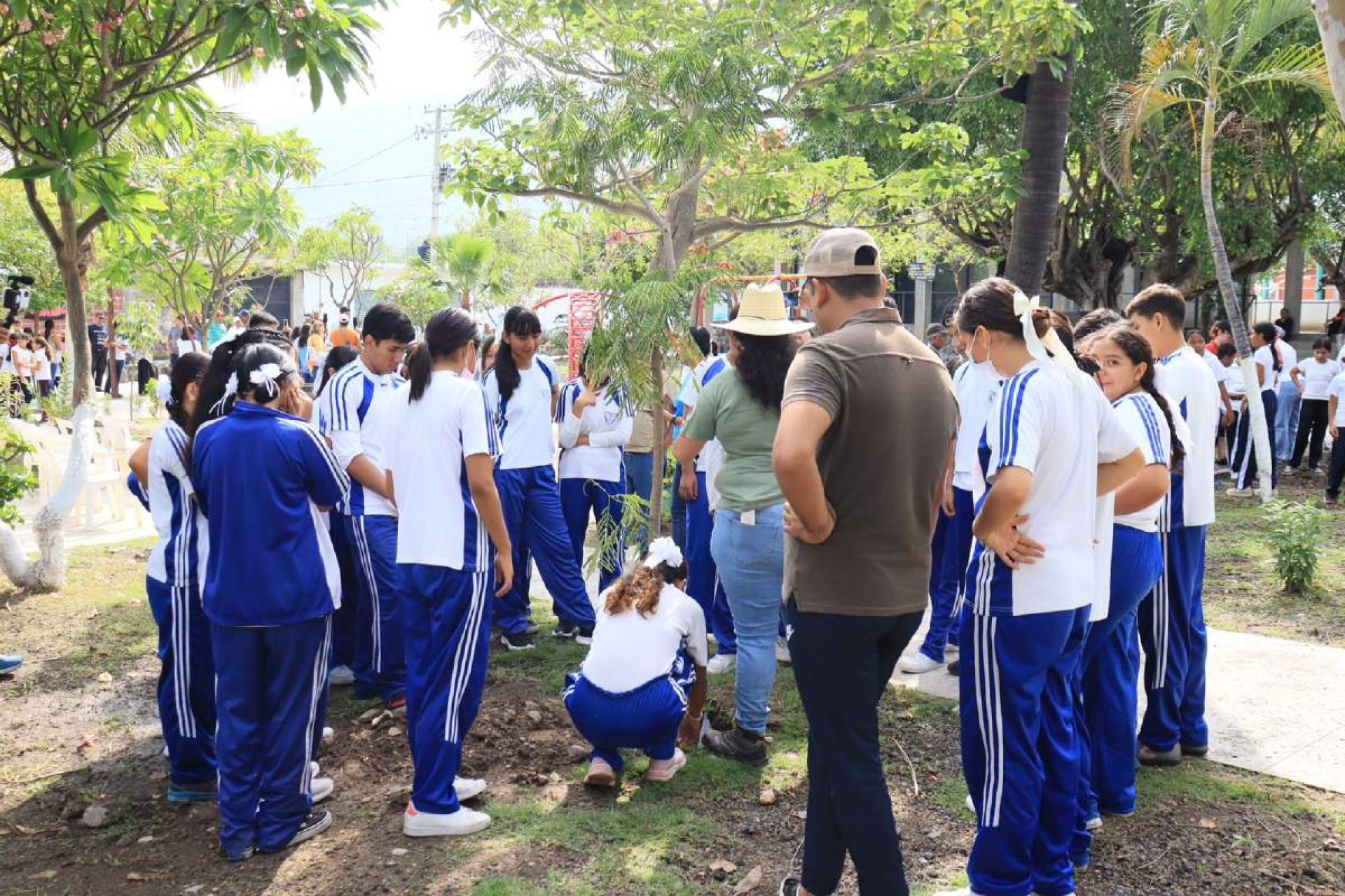 Realizan jornada de reforestación en El Higuerón