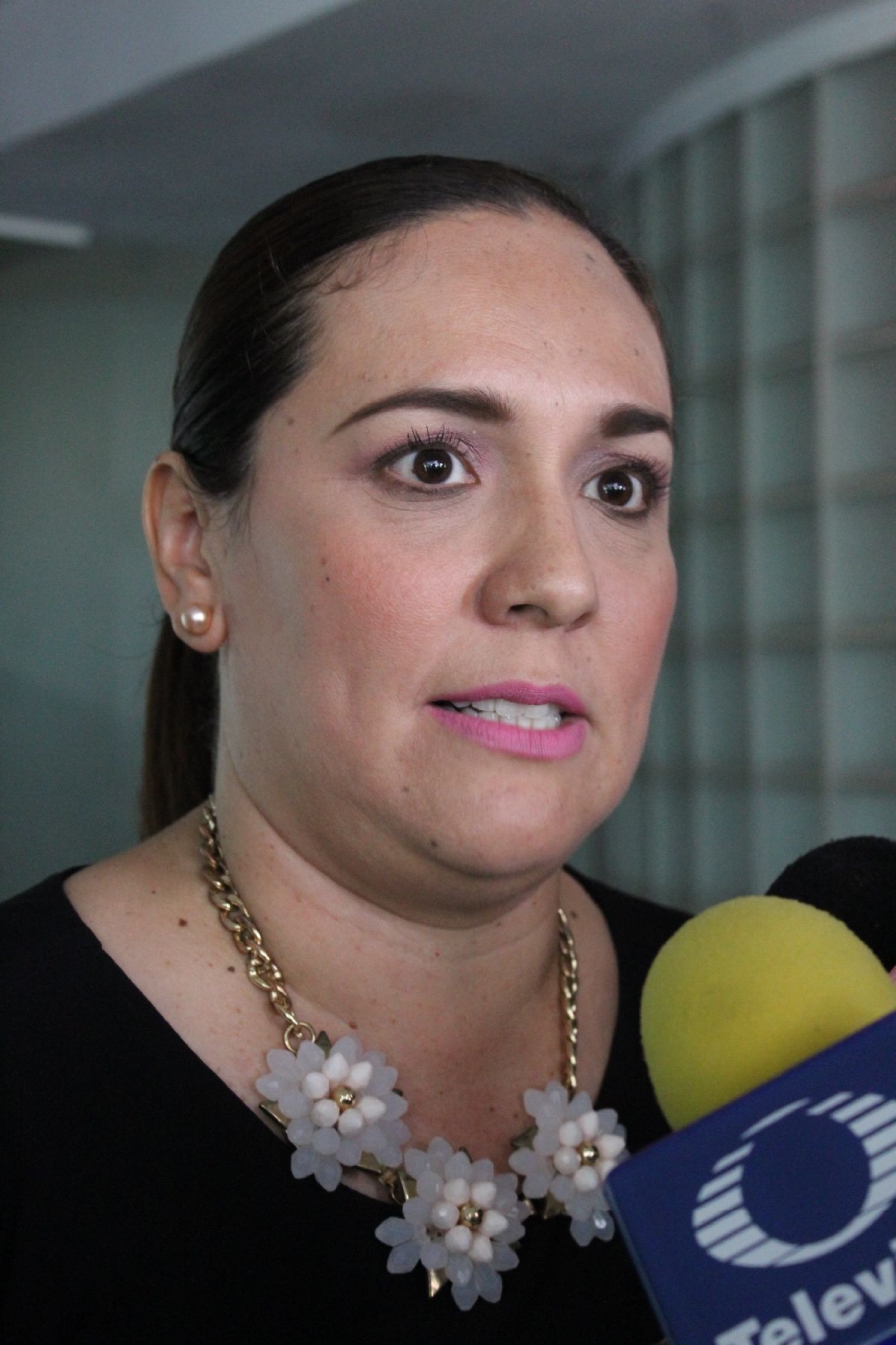 Movimiento Ciudadano decidirá en México sus alianzas