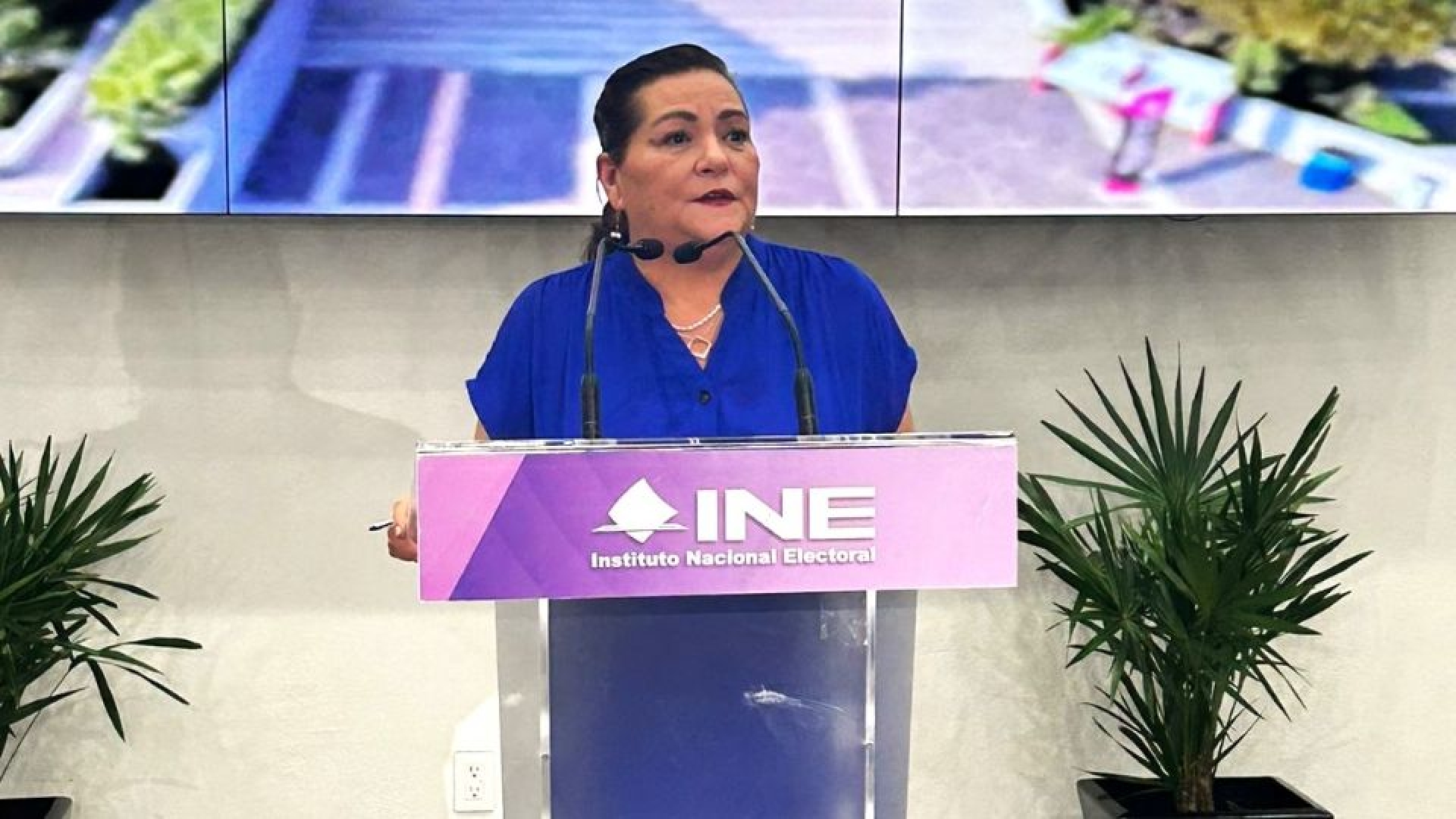 Asignación de 'pluris' apegada a la ley, asegura Taddei