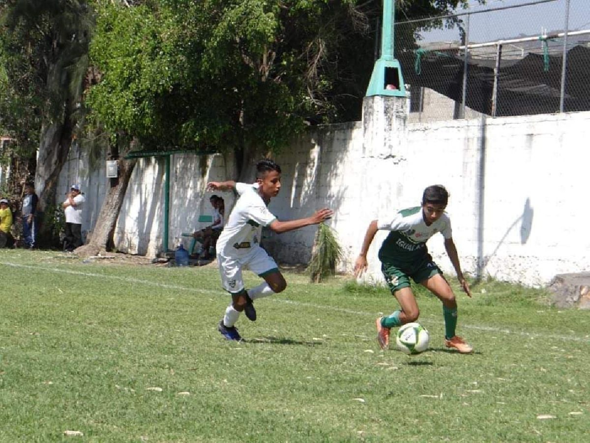 Selva Cañera es frenado por Guerreros Pericúes