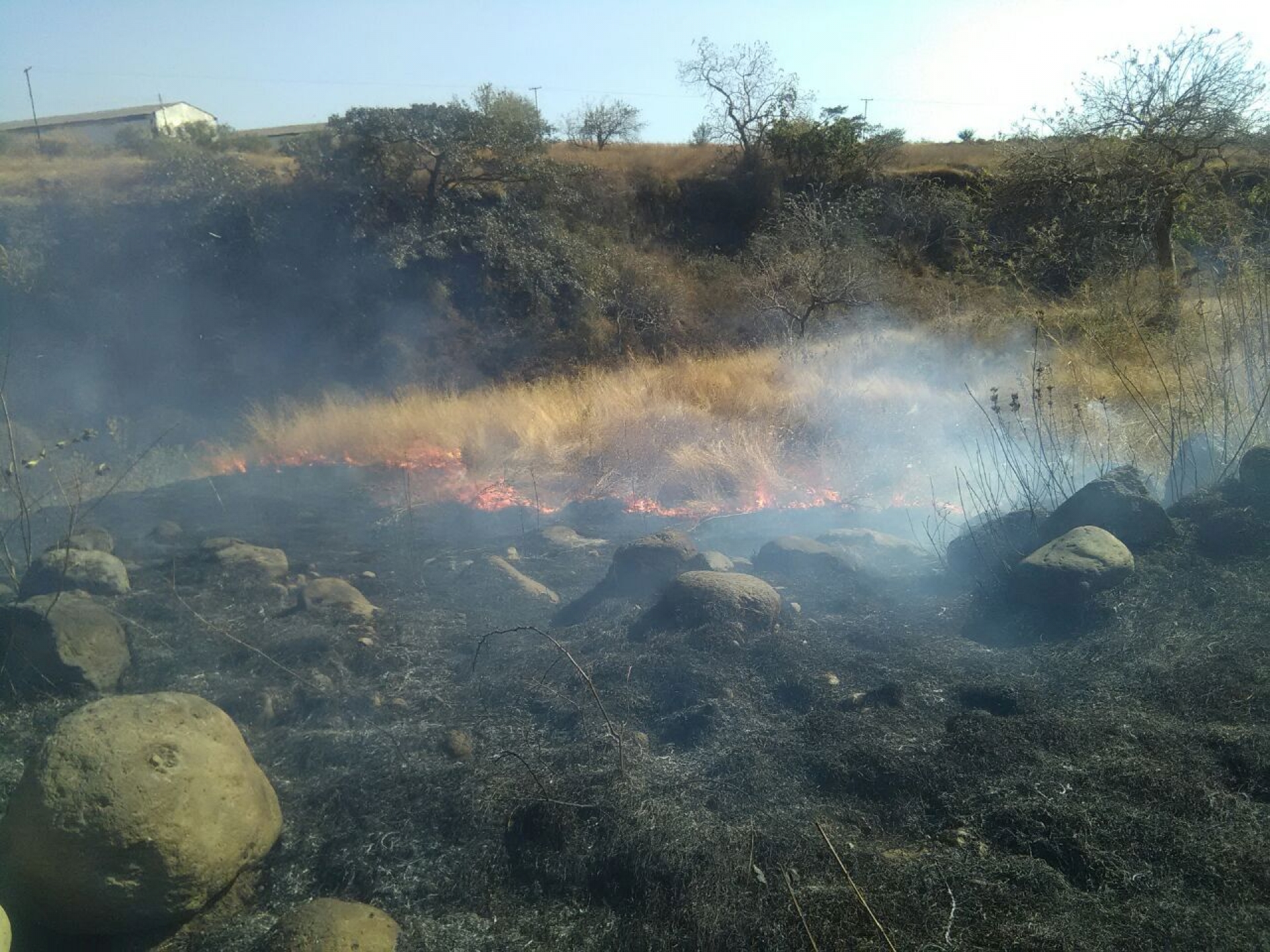 Van 36 incendios forestales en el estado, pero podrían aumentar: SDS
