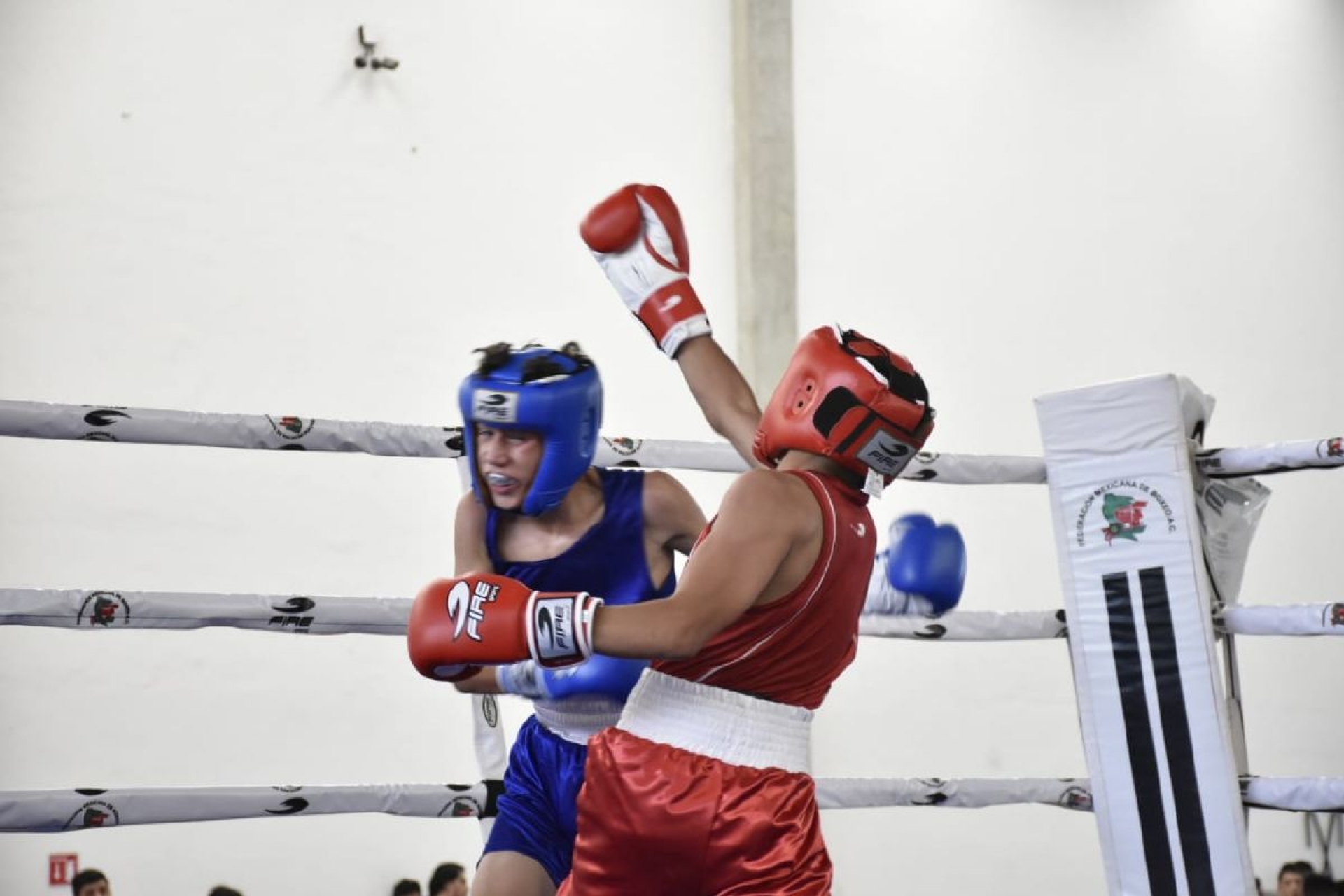 Cancelan Festival Olímpico de Boxeo por covid-19
