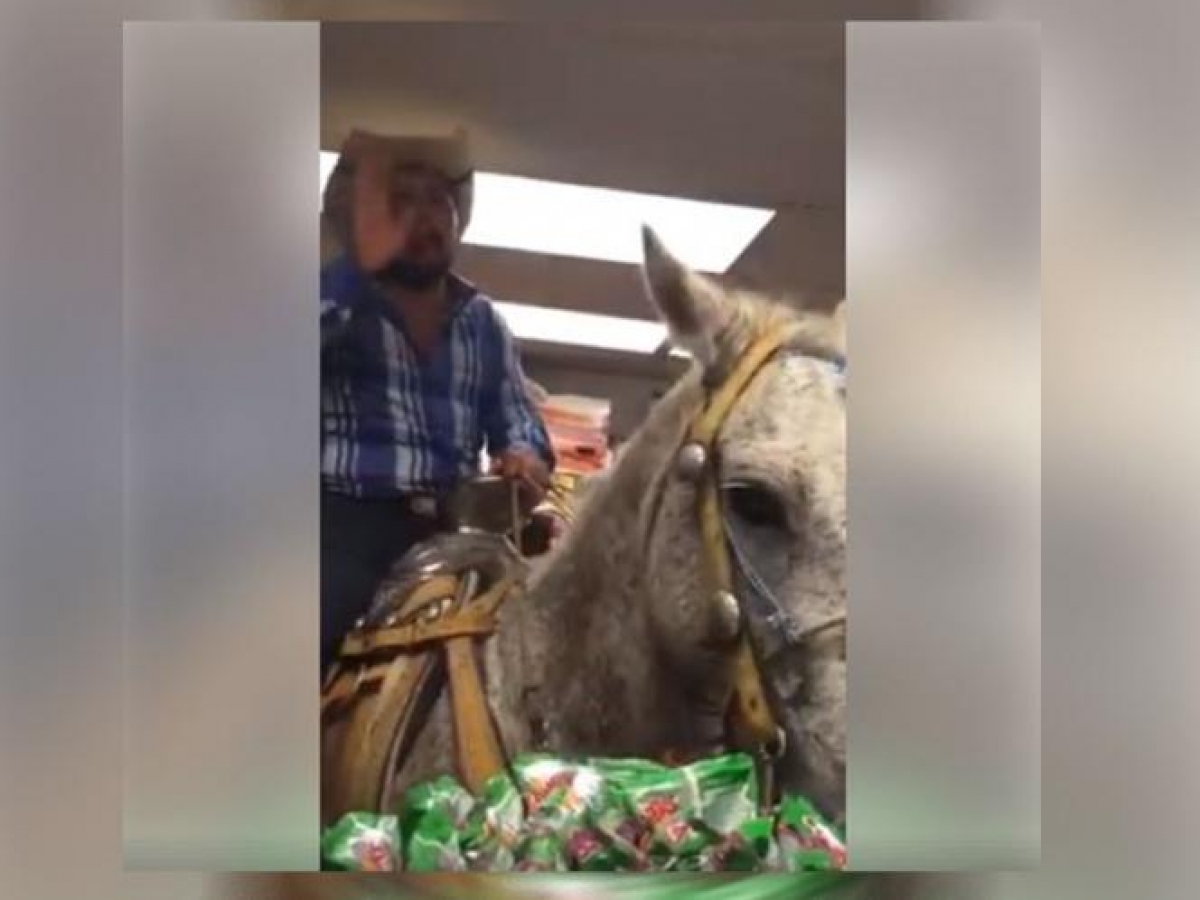 VIDEO: Con todo y caballo, entra a comprar cervezas a una tienda