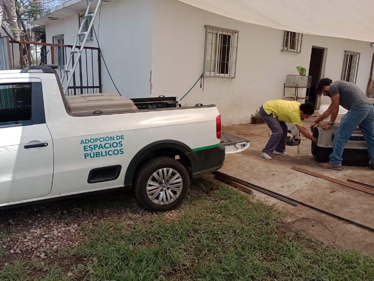 Trasladan a perros rescatados a un sitio temporal