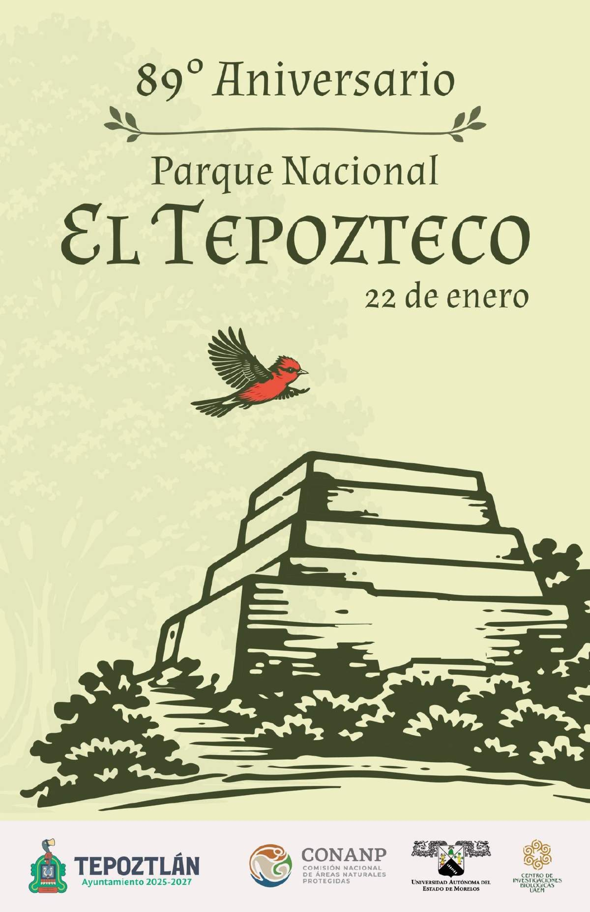 Celebrarán 89 aniversario de la creación del Parque Nacional El Tepozteco