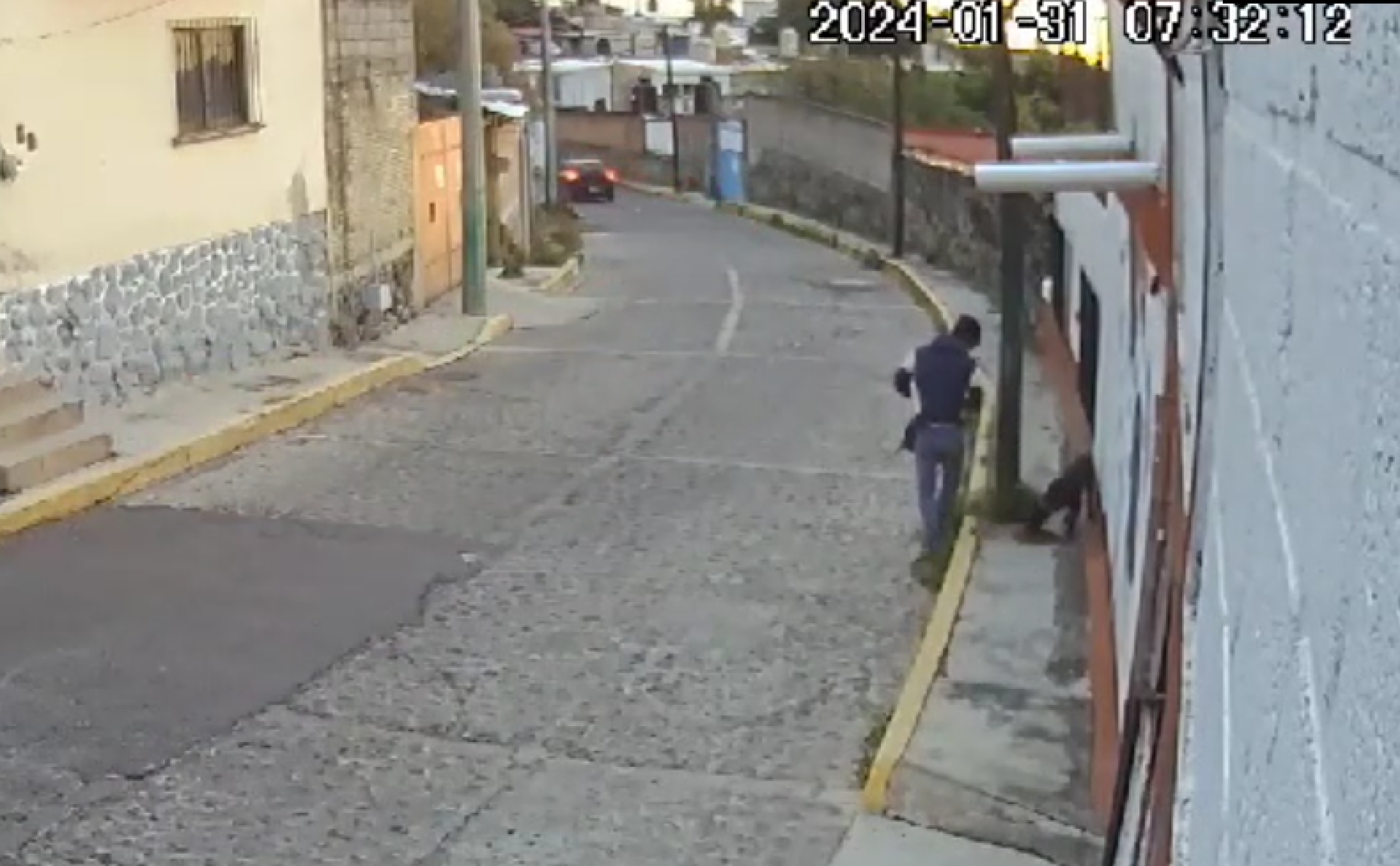 Abandonó a su perro tras amarrarlo a un poste, denuncian vecinos de calle Zempoala