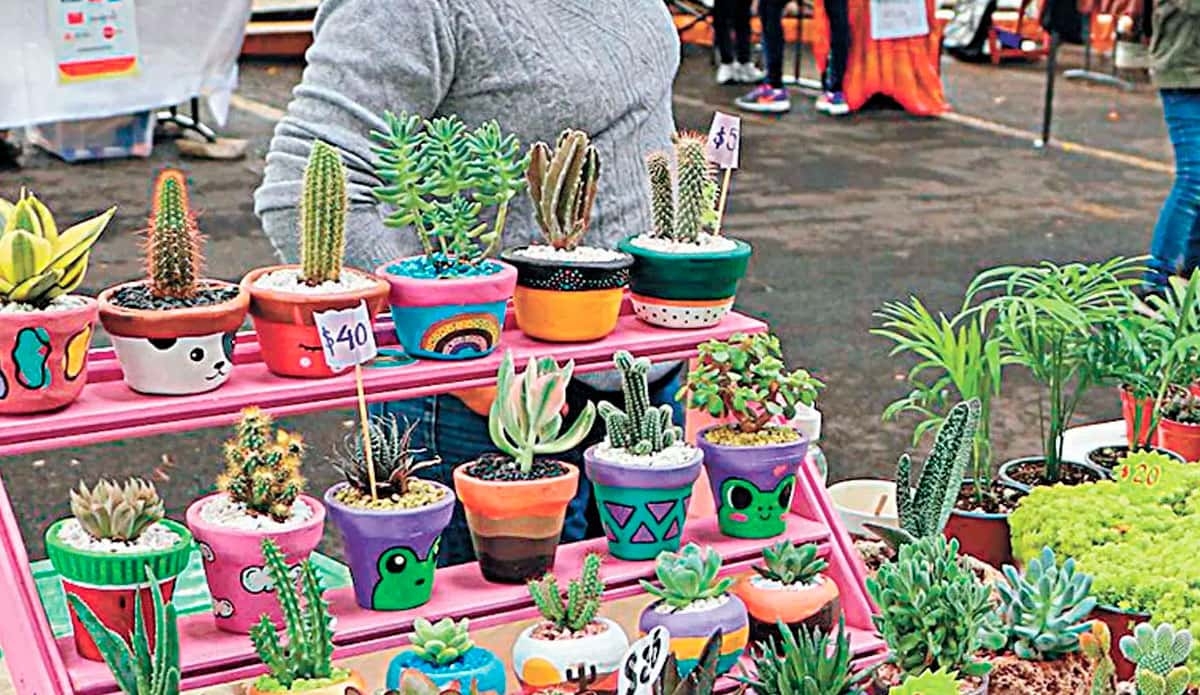 Promueve UAEM mercado sustentable