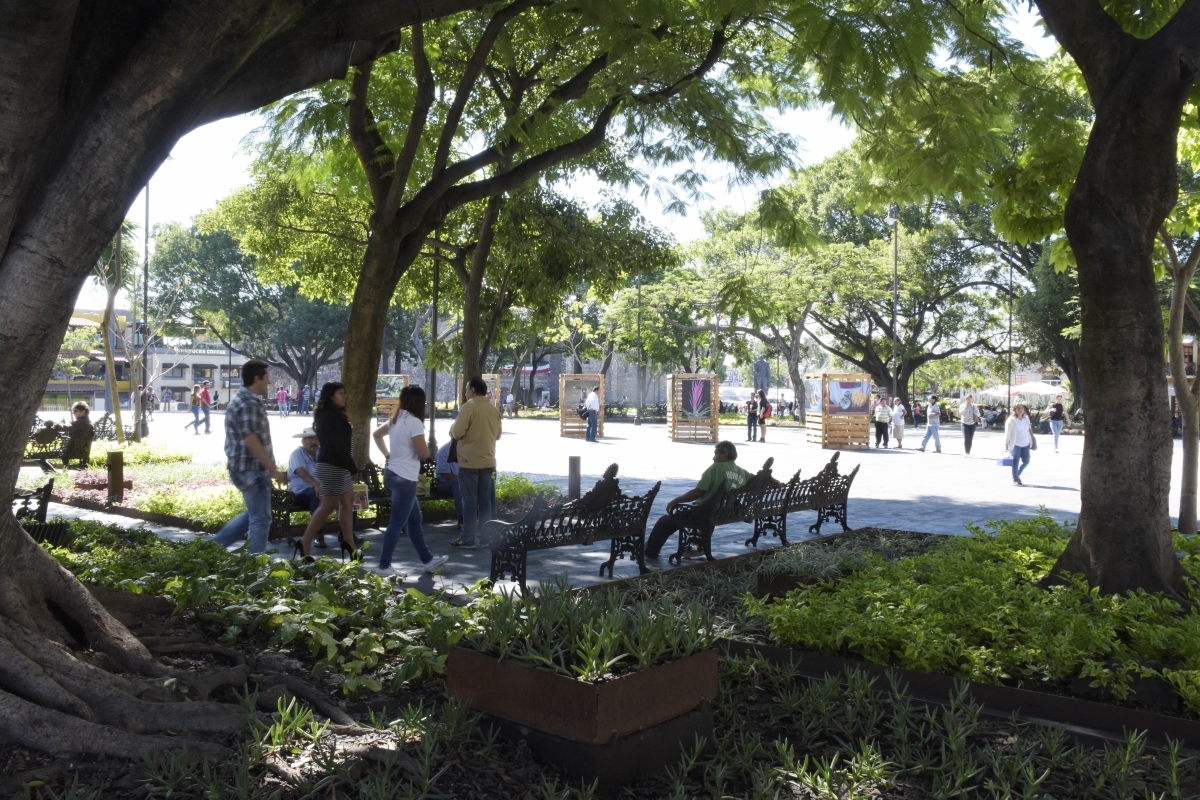 Exigen impedir el ambulantaje en la Plaza de Armas