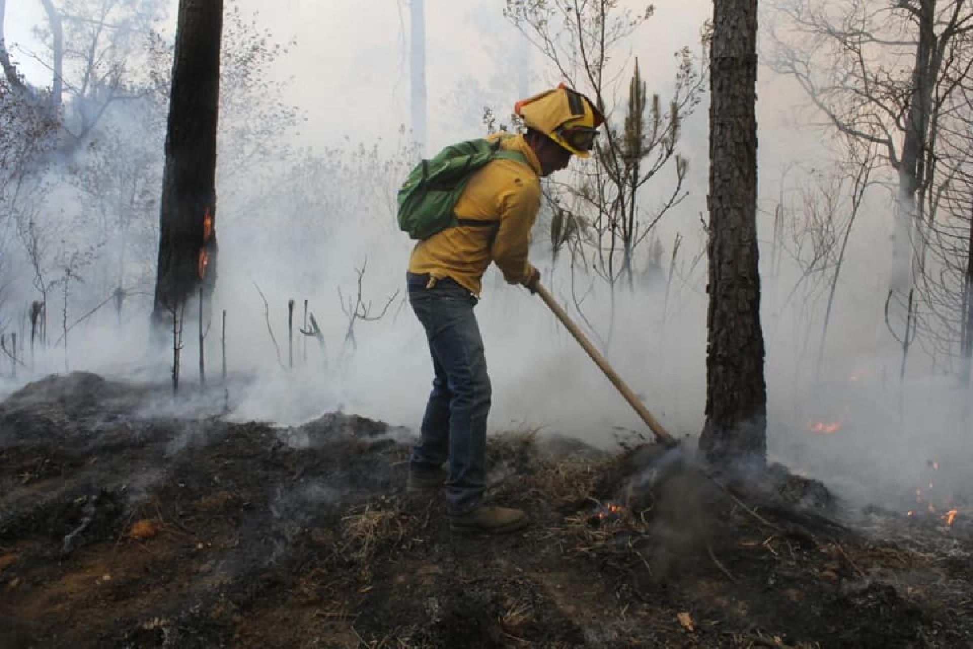 Fallidas, estrategias para prevenir incendios forestales