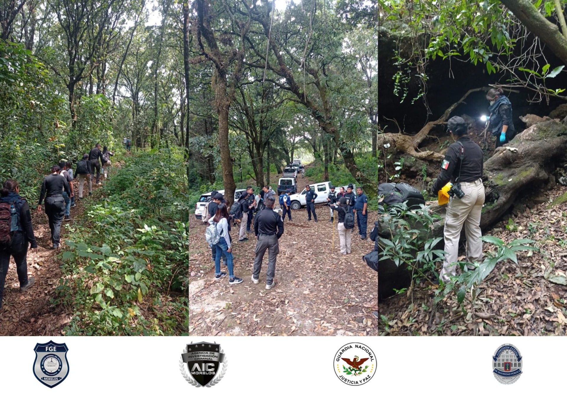 Fiscalía localiza restos óseos en cueva de Tepoztlán