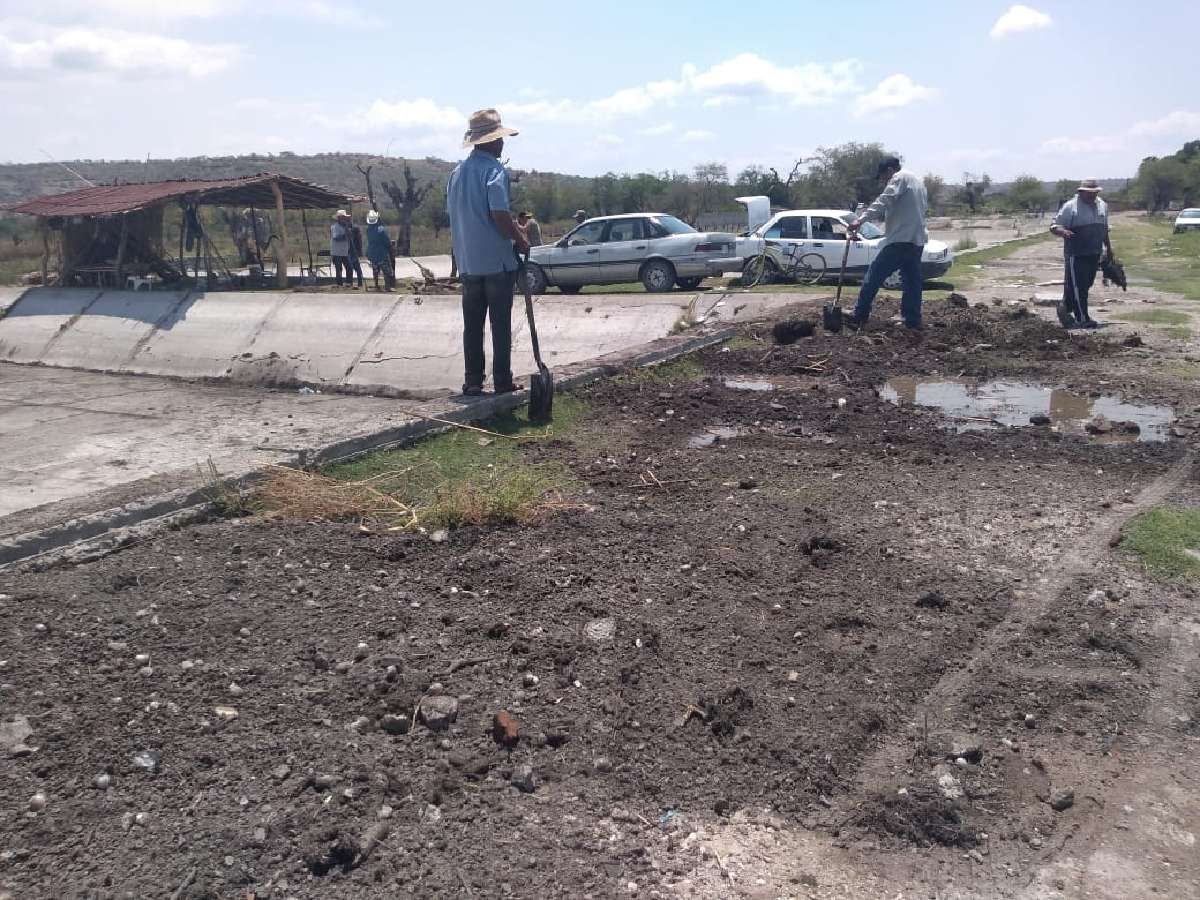 Realizan limpieza en zonas de las lagunas de El Rodeo y Coatetelco