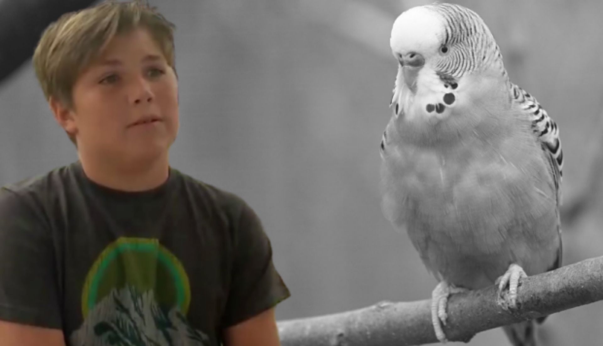 Niño dueño de 'Chimuelo' revela la causa de muerte de su mascota
