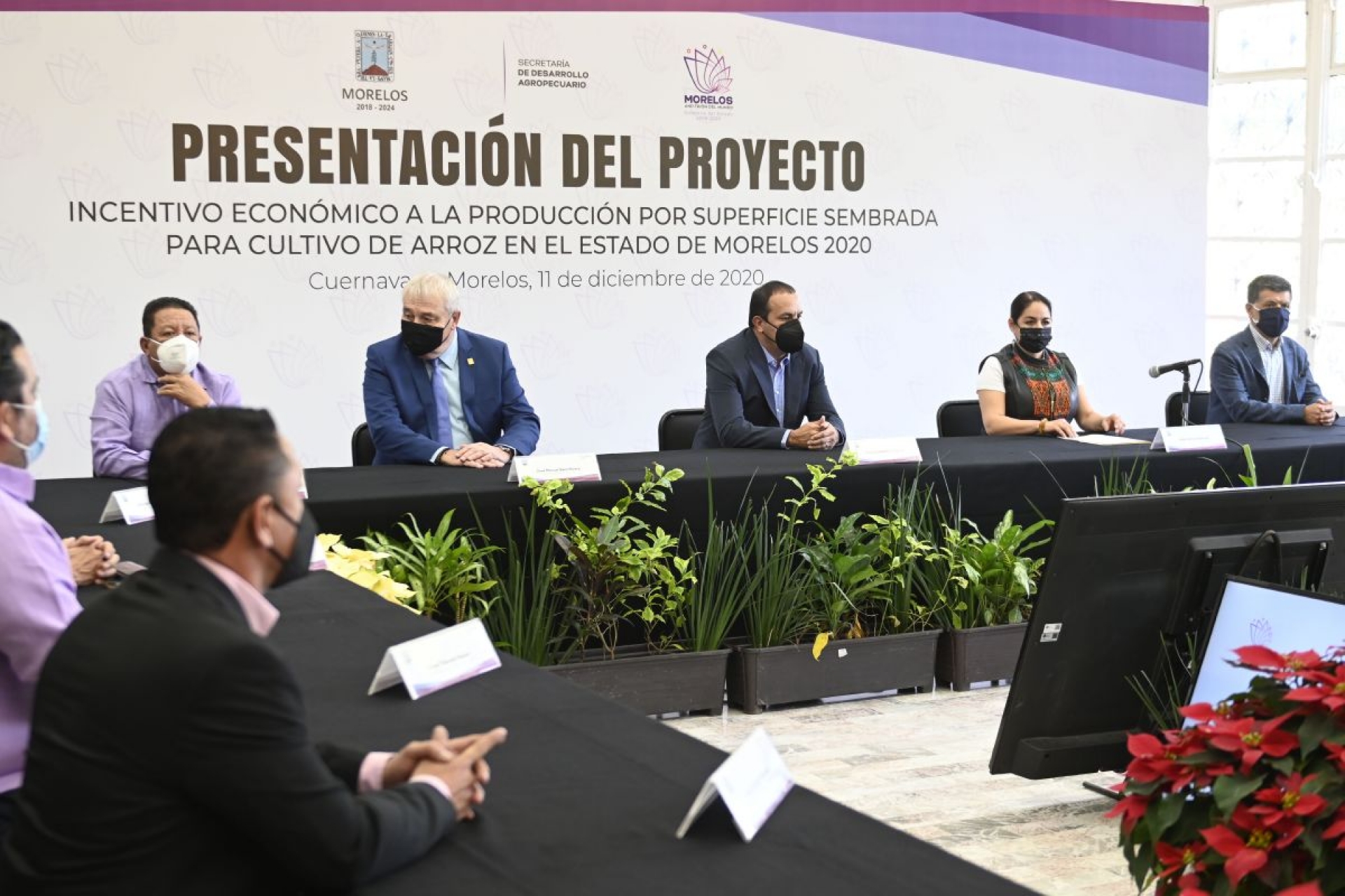 Otorga gobierno de Cuauhtémoc Blanco incentivo económico a productores de arroz
