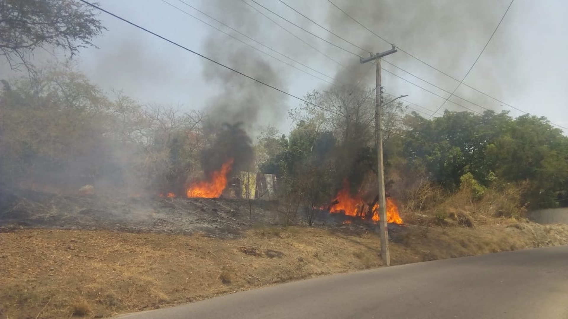 Se incrementan incendios de pastizales por temporada de calor en Jojutla