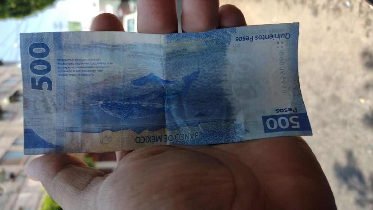 Alertan a comerciantes sobre circulación de billetes falsos