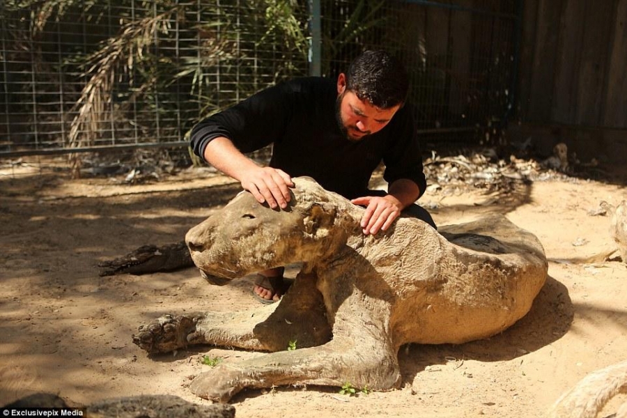 El zoológico mas triste del Mundo