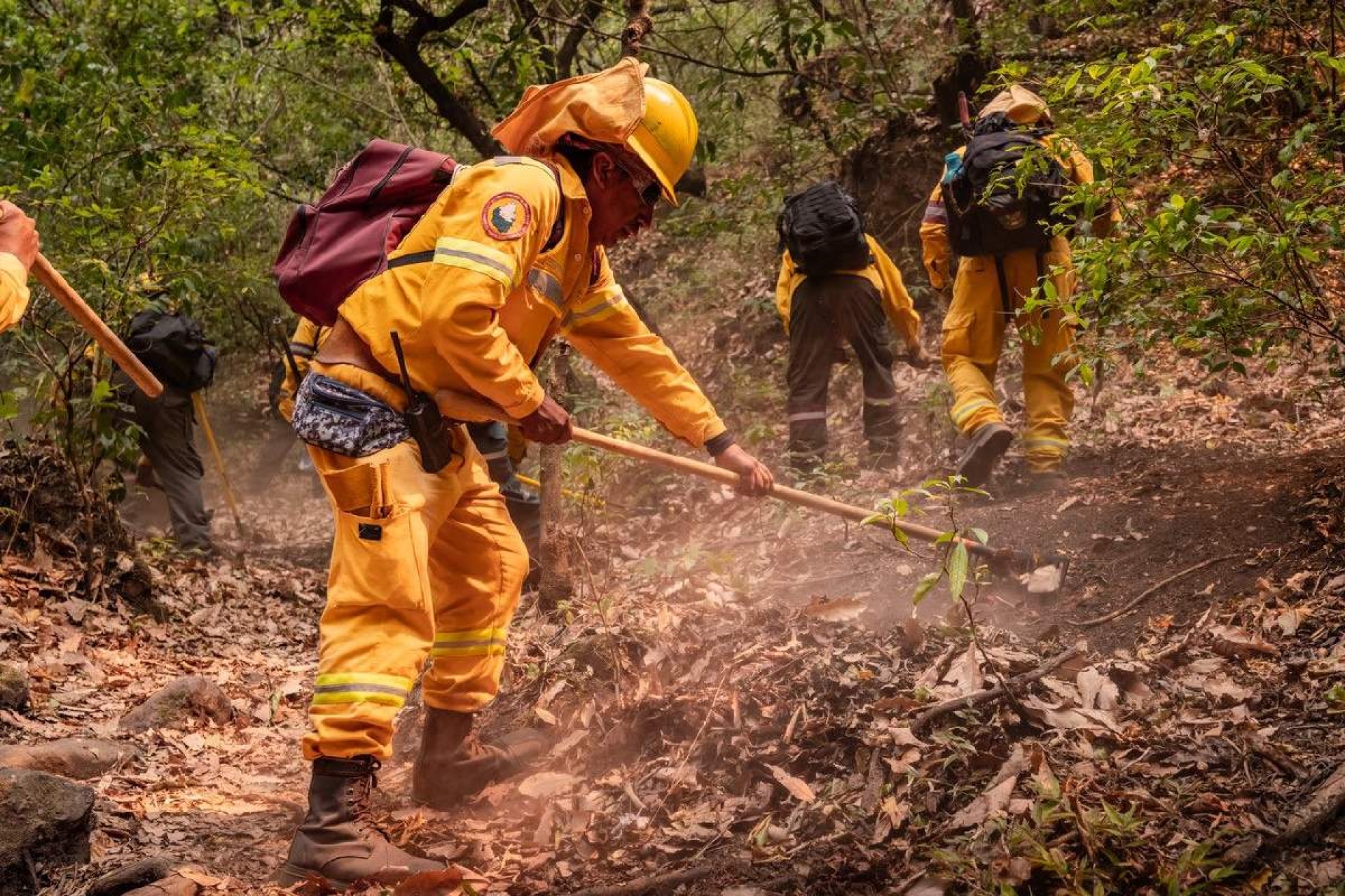 Entregarán equipamiento contra incendios forestales a seis municipios