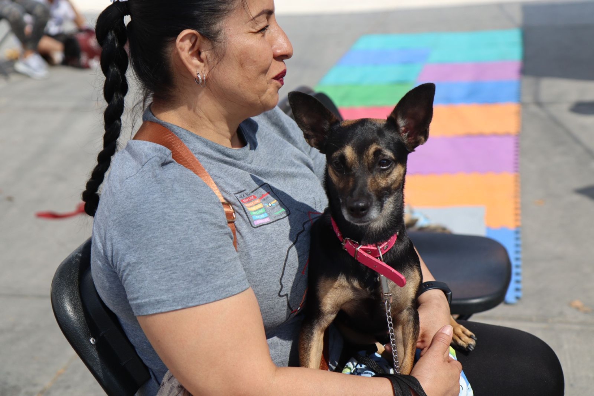 Realizan en Jiutepec jornada de esterilizaciones caninas y felinas, en UH 'El Pochotal'