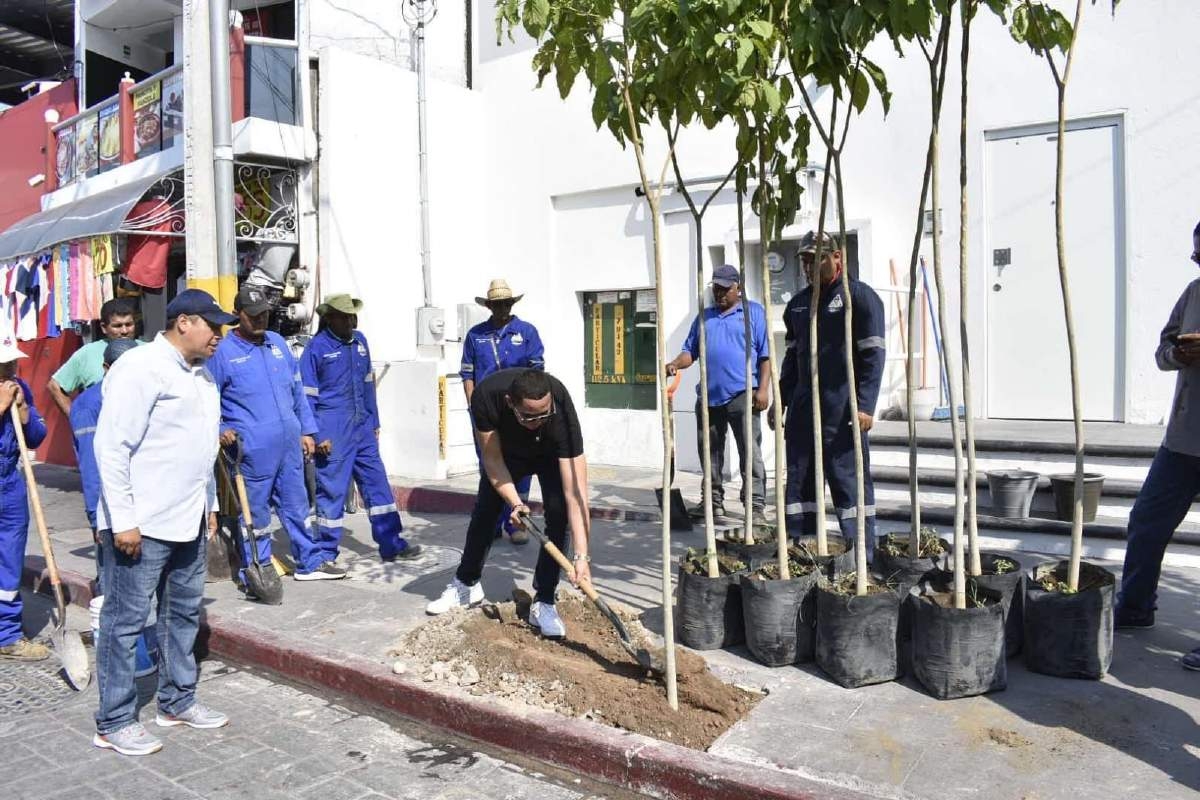 Reforestan calle del Centro de Jojutla