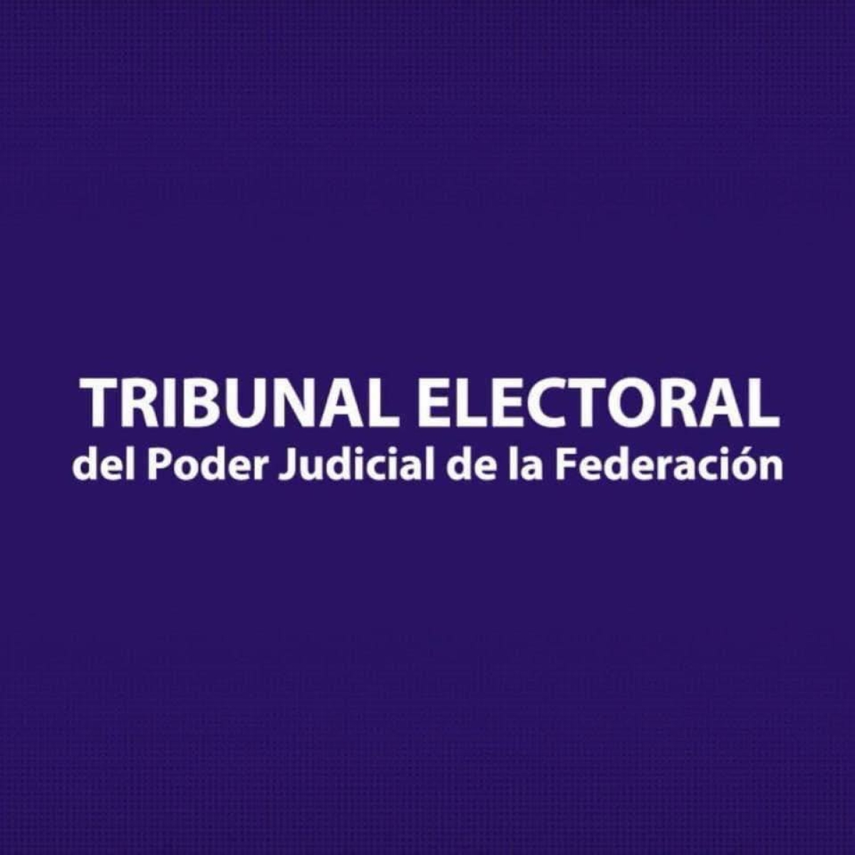 Revoca TEPJF acuerdo de INE sobre estructura de OPLE