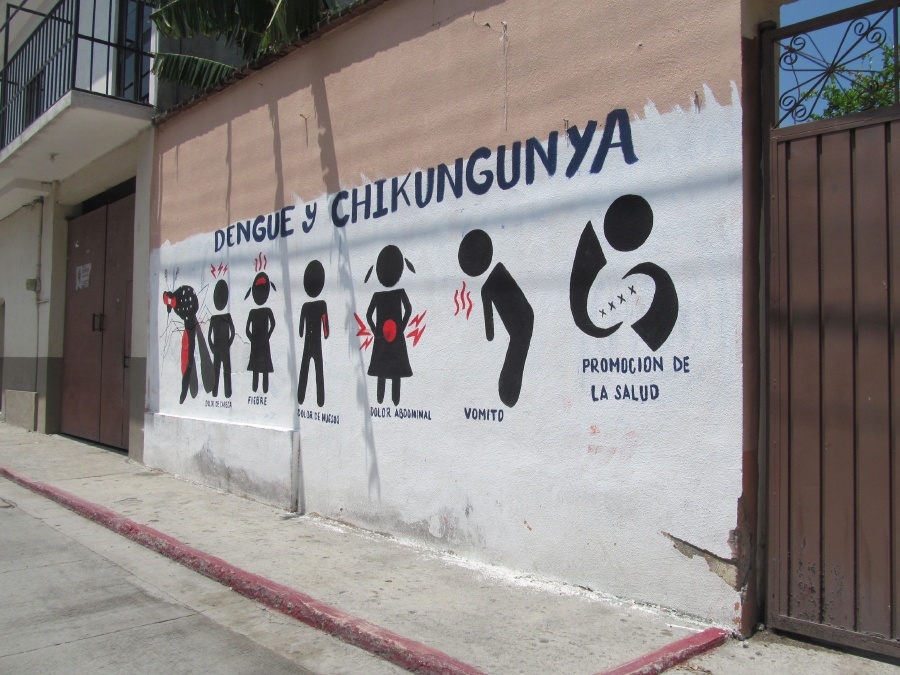 Omisión de autoridades del sector salud para atender la proliferación de dengue y chikungunya en Amacuzac