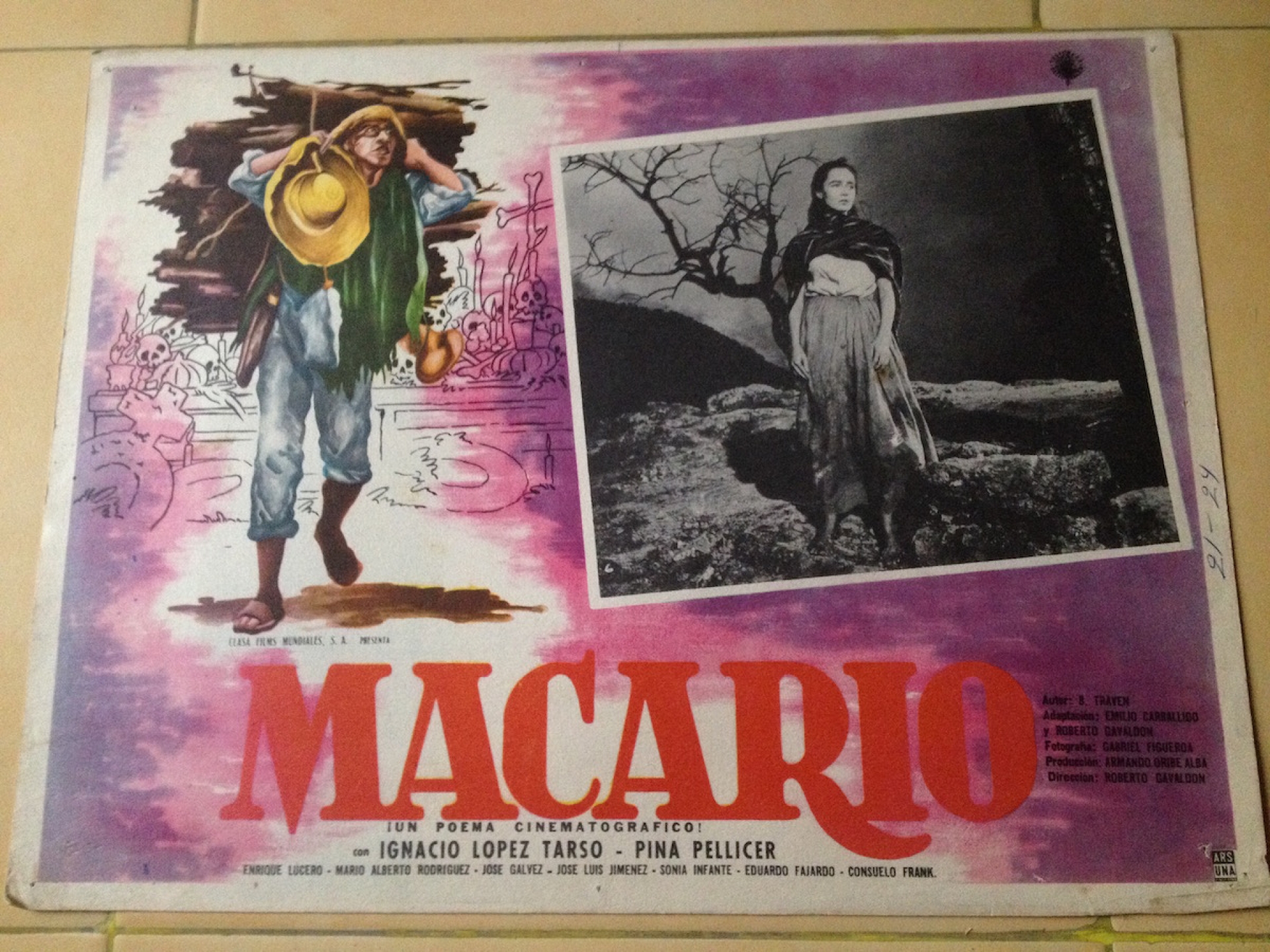 La promoción y difusión del cine en México y en Morelos