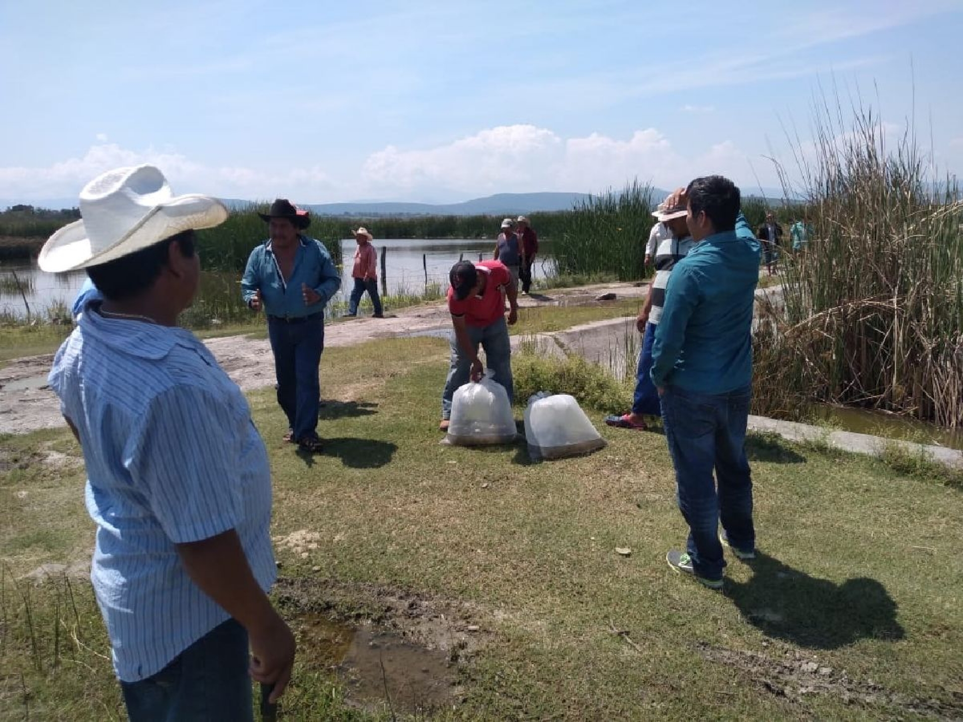 Buscan reactivar estanques ubicados junto a la laguna de Coatetelco