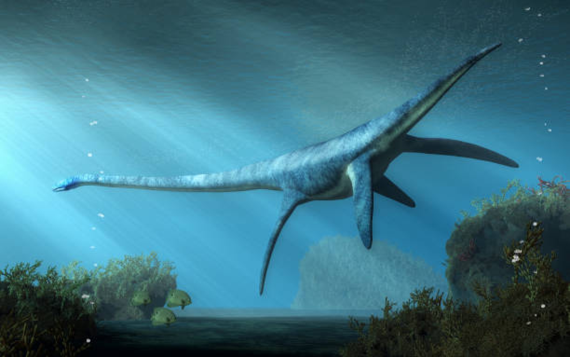 Descubren nueva especie de plesiosaurio en yacimiento jurásico de Alemania