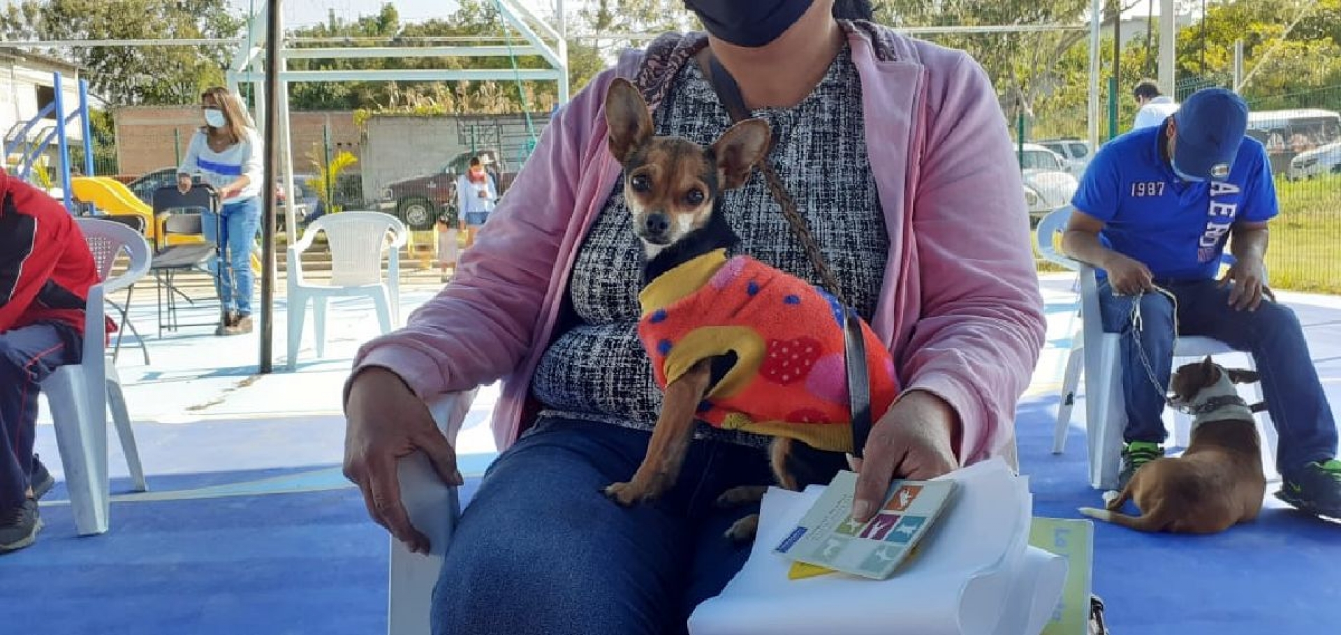 Preocupa potencial transmisión de enfermedades de caninos a humanos