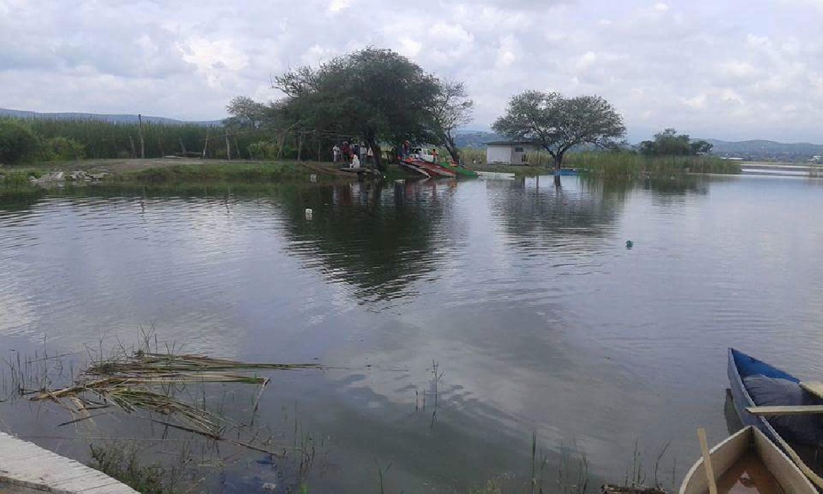 La laguna de Coatetelco sólo recupera su nivel: pescadores