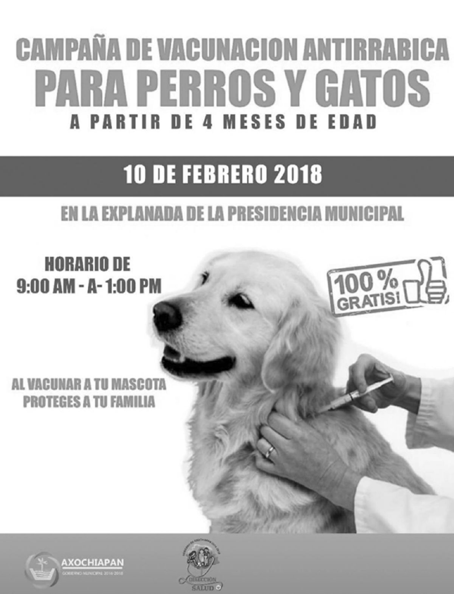 Anuncian campaña de vacunación antirrábica gratuita en Axochiapan