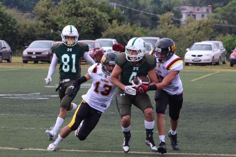 Amargo debut