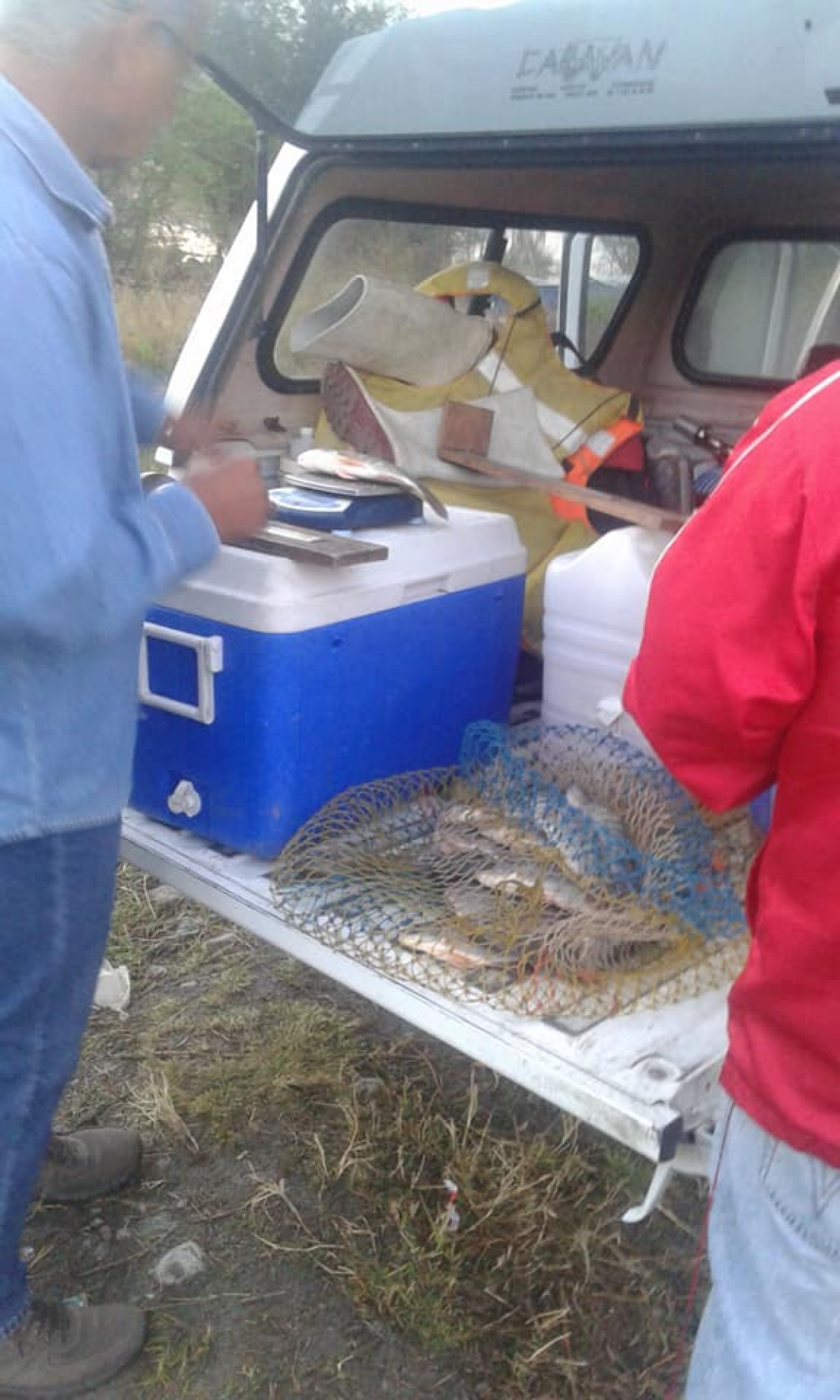 Avala UAM calidad de tilapia criada en lagunas de El Rodeo y Coatetelco