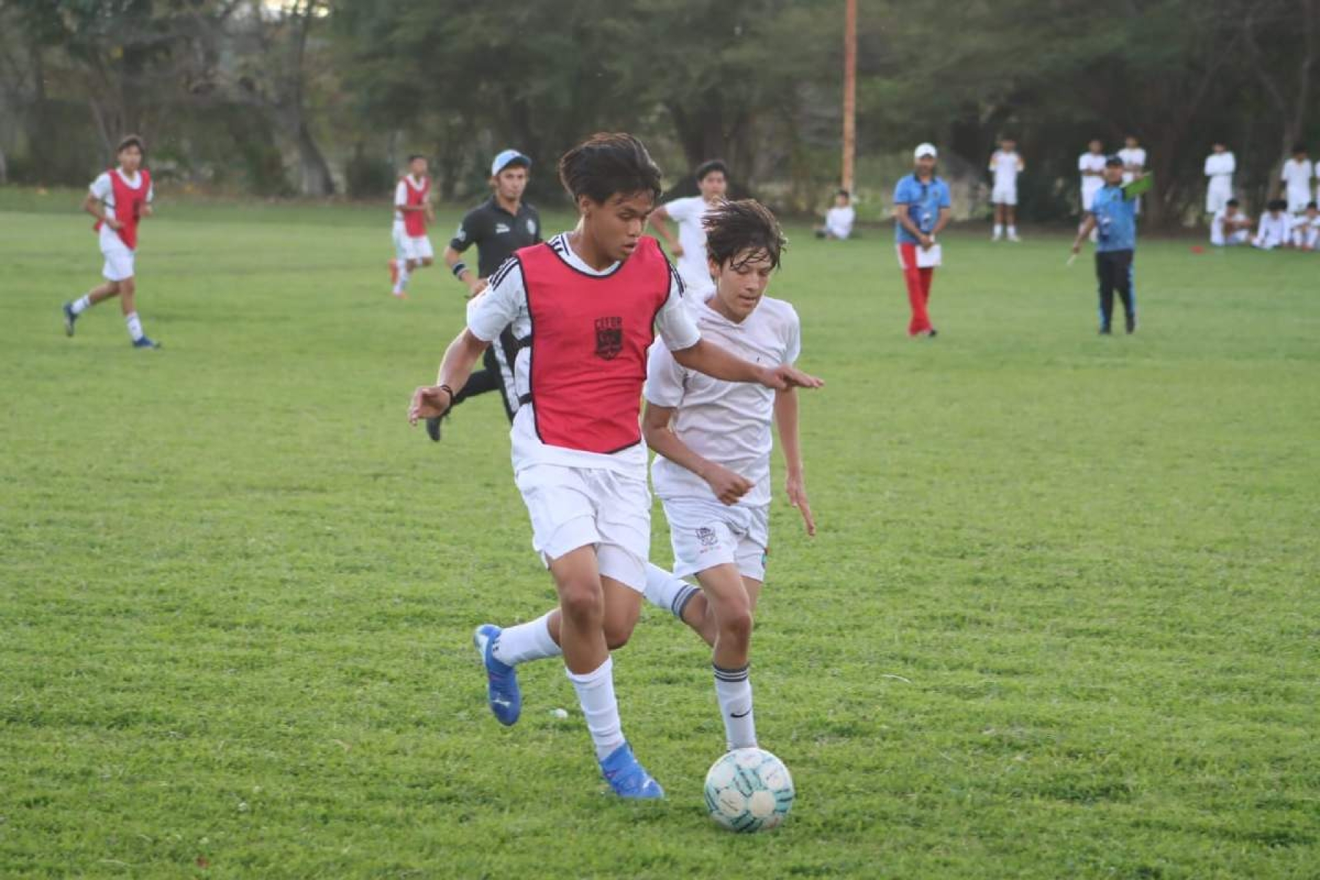 Quieren llevarlos al América