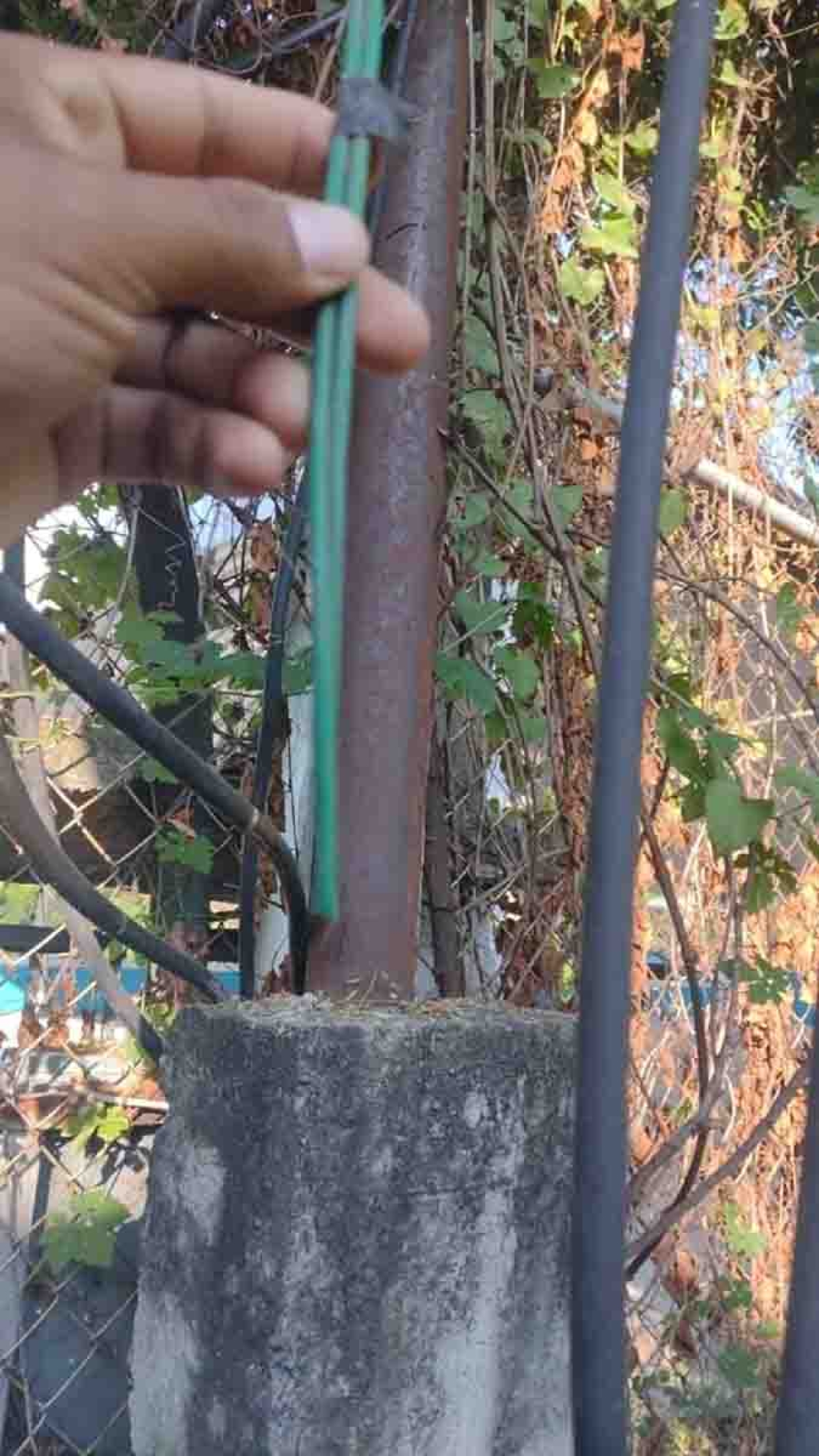 Robo de cables dejó sin servicio el pozo de El Florido