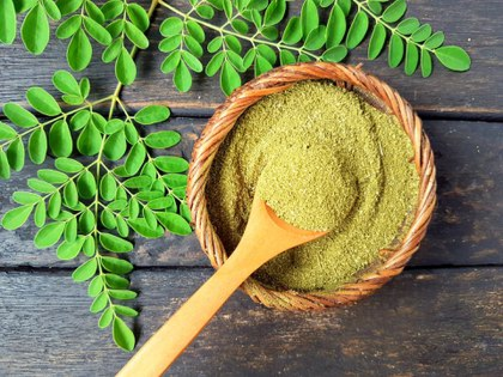 Moringa: estudio de la UNAM revela los beneficios reales del árbol mexicano