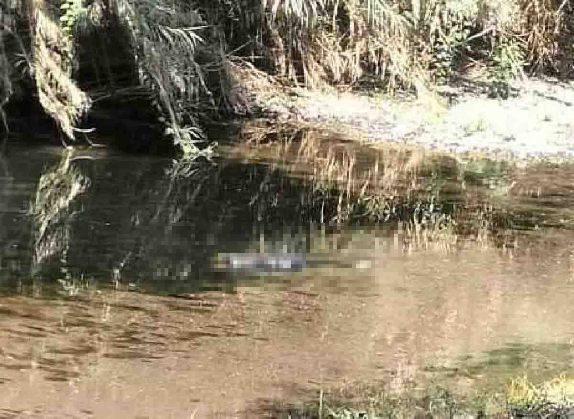 Encuentran a dos personas muertas en Yautepec