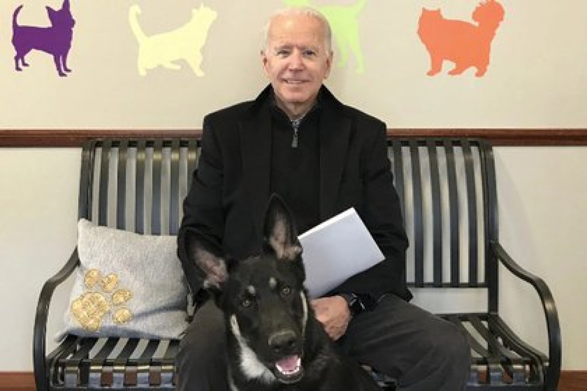 La mascota de Joe Biden, será el primer perro rescatado que vivirá en la Casa Blanca