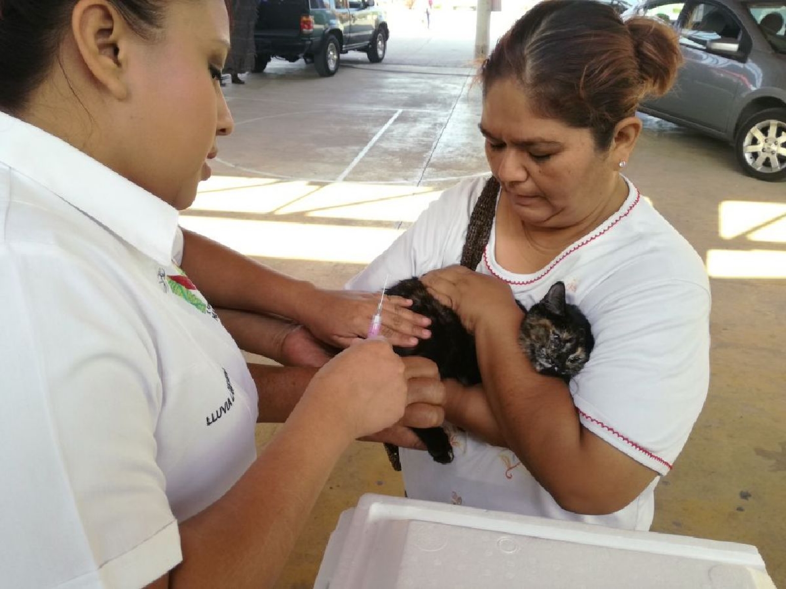 Promueven campaña de vacunación antirrábica gratuita en Miacatlán